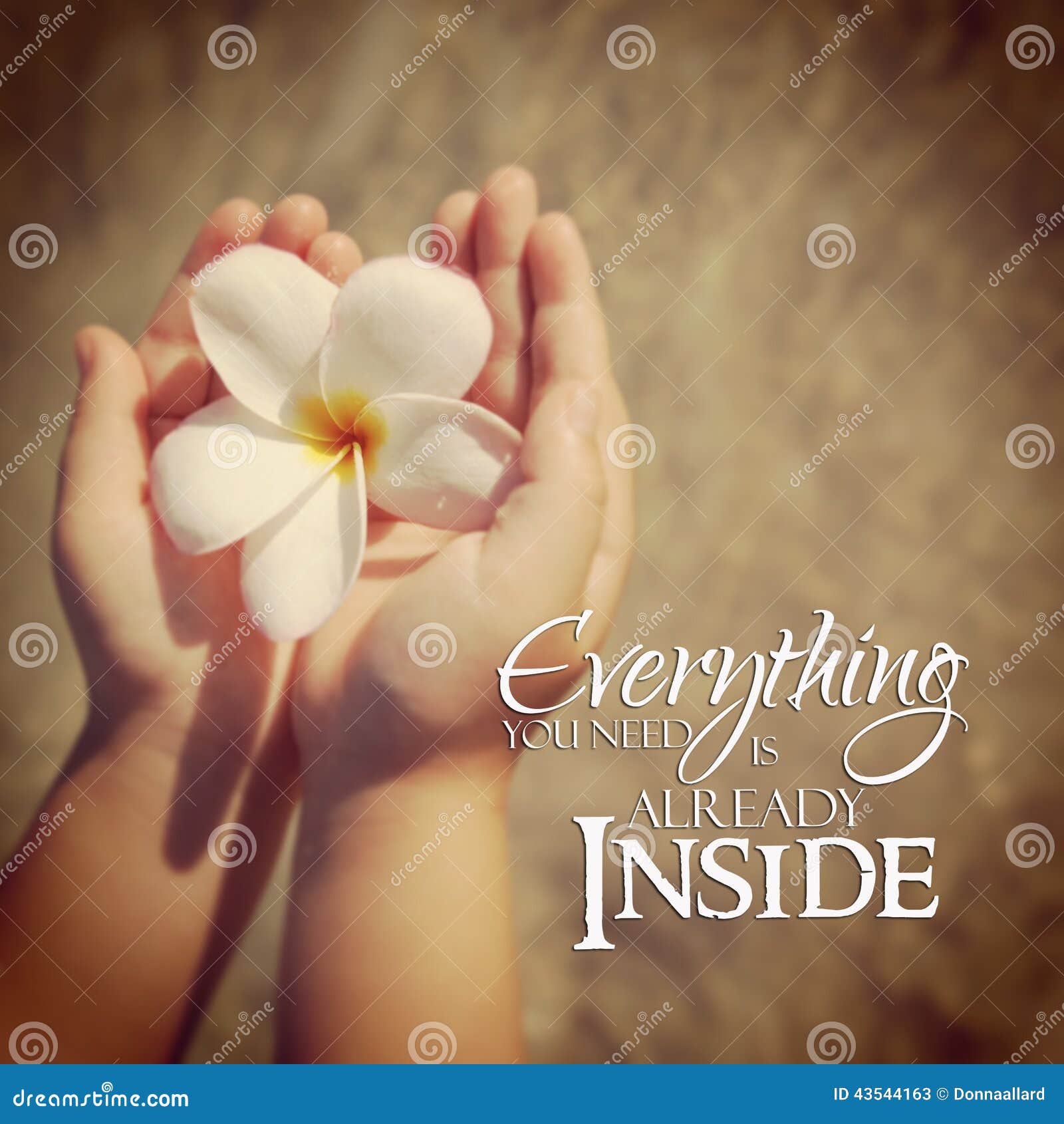 My Image 10