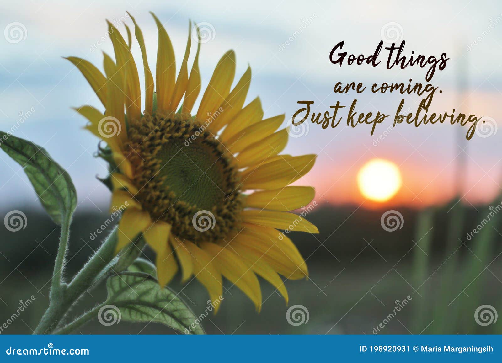 Inspirational Words - Better Days Are Coming. You Have Been Through A Lot. Now It Is Time For You To Shine. Hope Concept. Stock Image - Image Of Poster, Cloud: 198920931