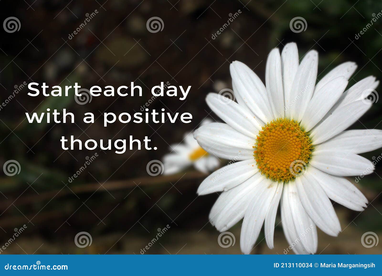 Inspirational Words - Start Each Day with a Positive Thought. Business ...