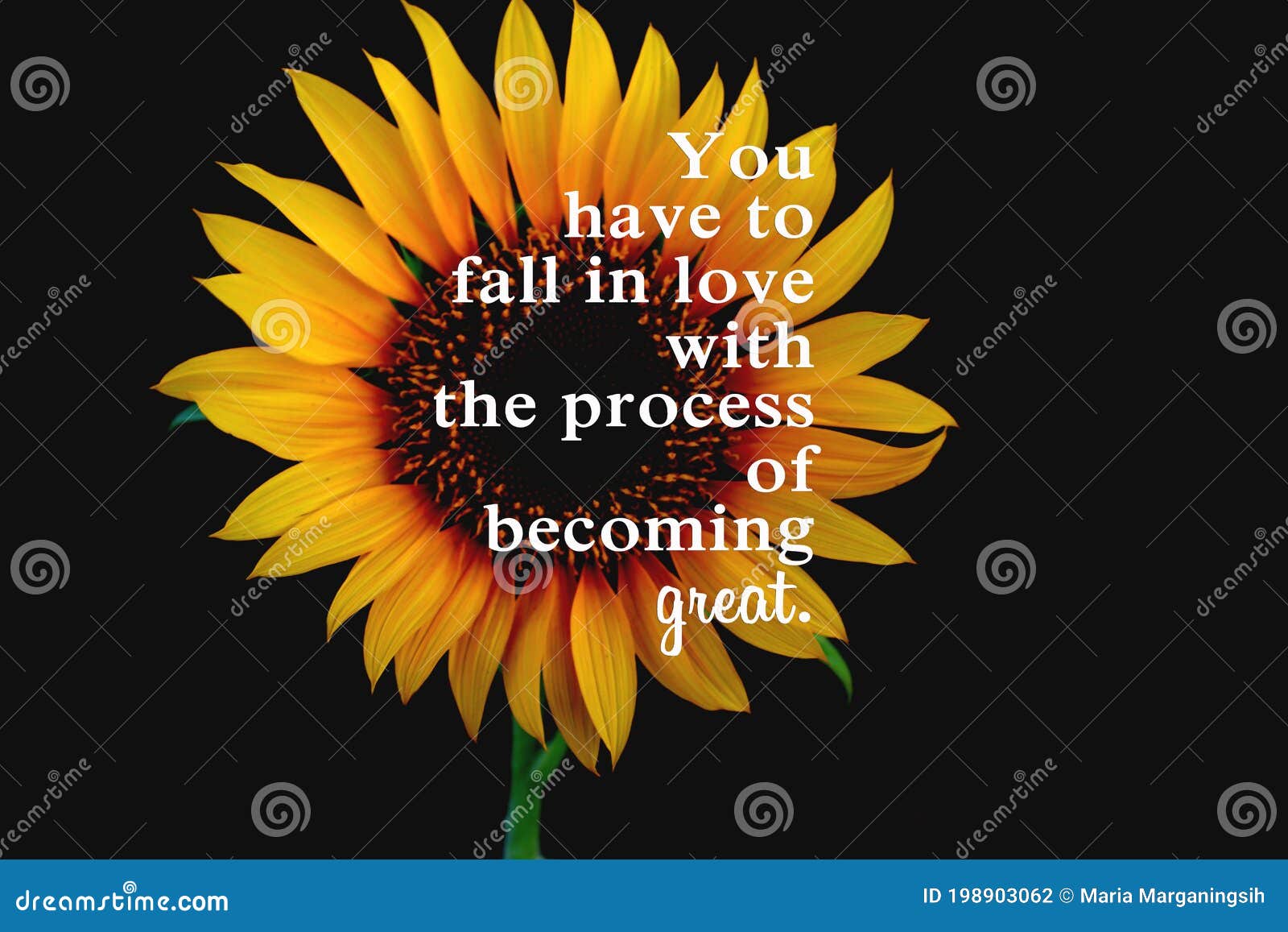 126 Fall Love Quote Photos Free Royalty Free Stock Photos From Dreamstime