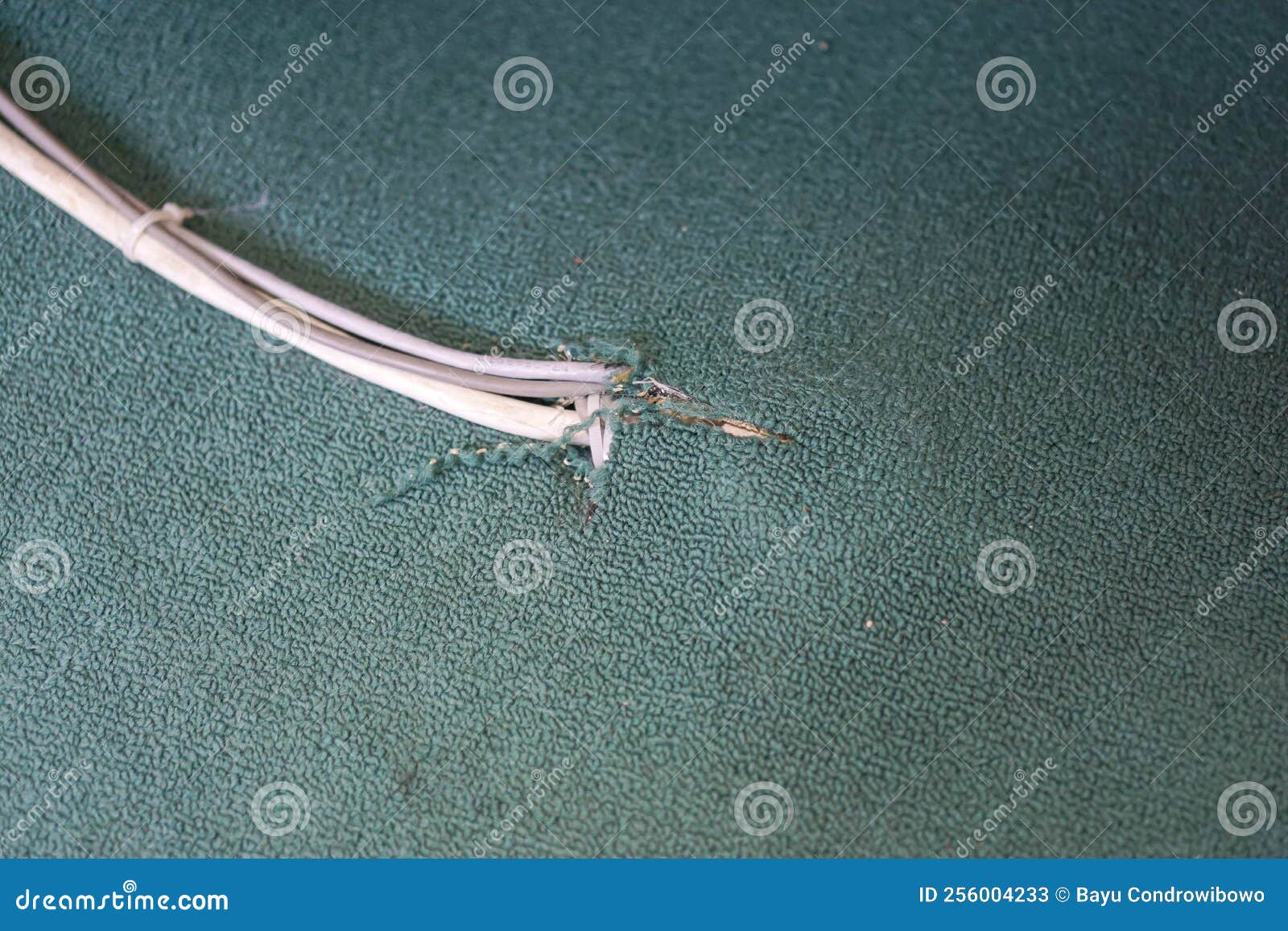 Installation of Electrical Cables that Come Out of the Green Carpet Stock Image Image of data