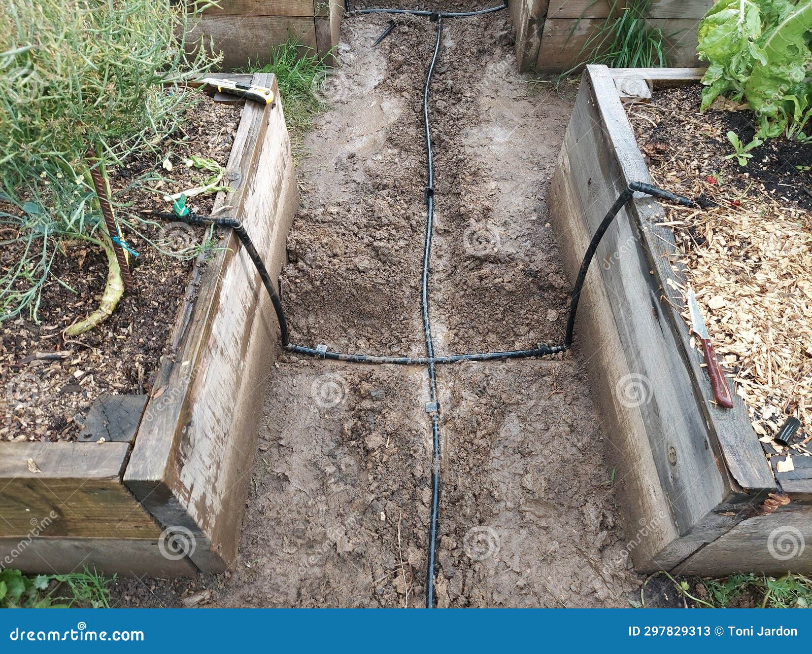 Installing Irrigation System in the Vegetable Garden. Automatic