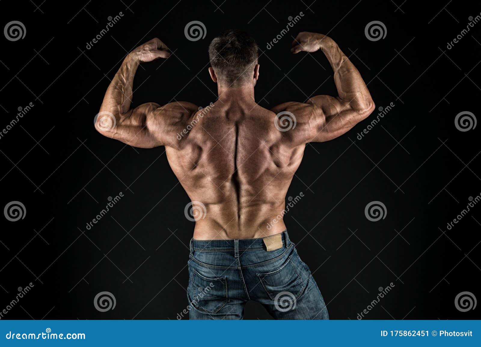 Installing Muscles Sportsman Flex Arms Back View Sportsman Show