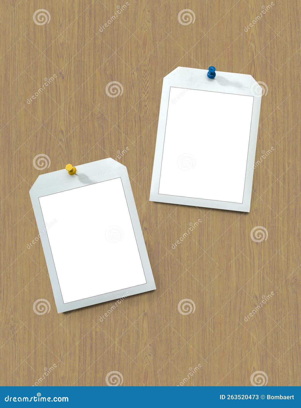 Instant Frames Hang on Wall with Colored Pins Stock Image Image of