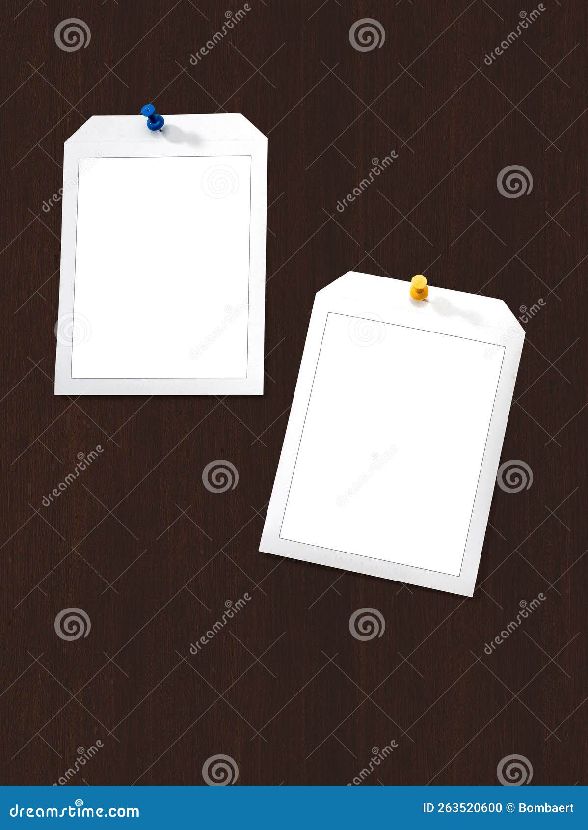 Instant Frames Hang on Wall with Colored Pins Stock Photo Image of