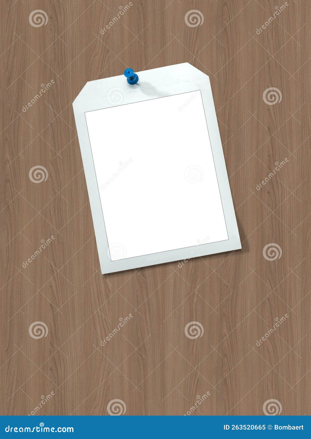 Instant Frames Hang on Wall with Colored Pins Stock Image Image of