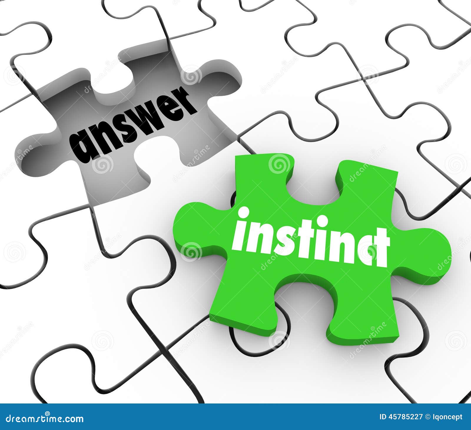 instinct puzzle piece find answer solve puzzle gut feeling solution