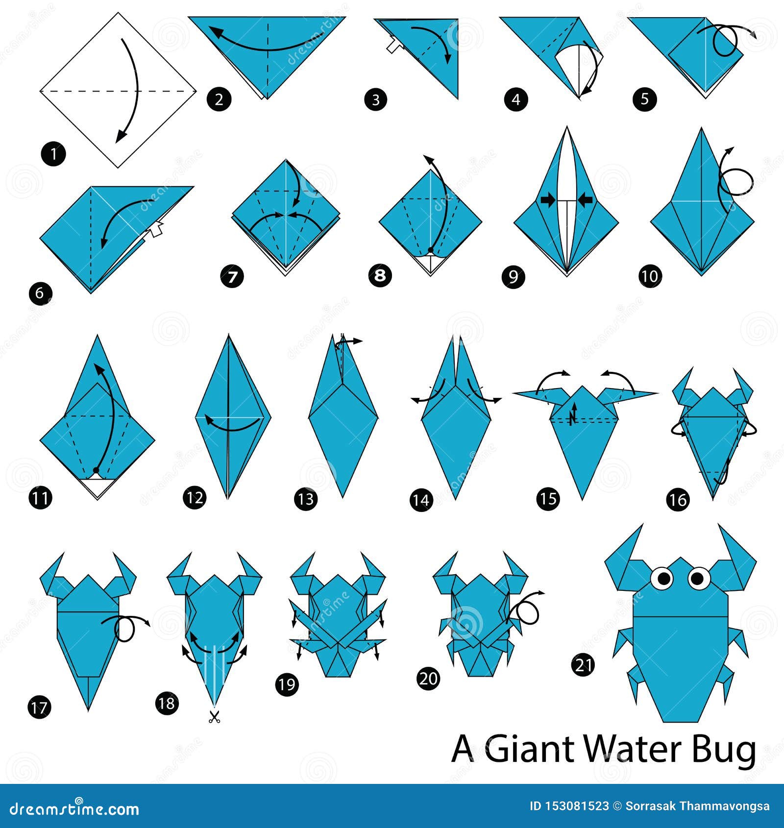 Instrucciones a Paso Cómo Hacer Un Insecto De Agua Gigante Ilustración del Vector - Ilustración de geométrico: 153081523