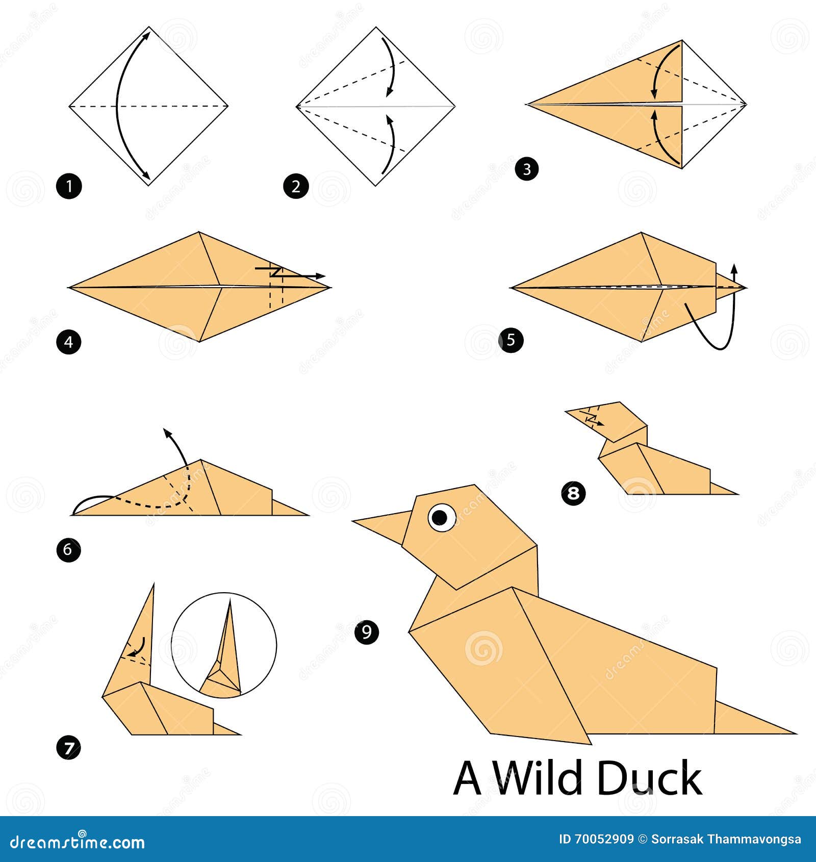 Instrucciones Paso A Paso Cómo Hacer Papiroflexia Un Pato