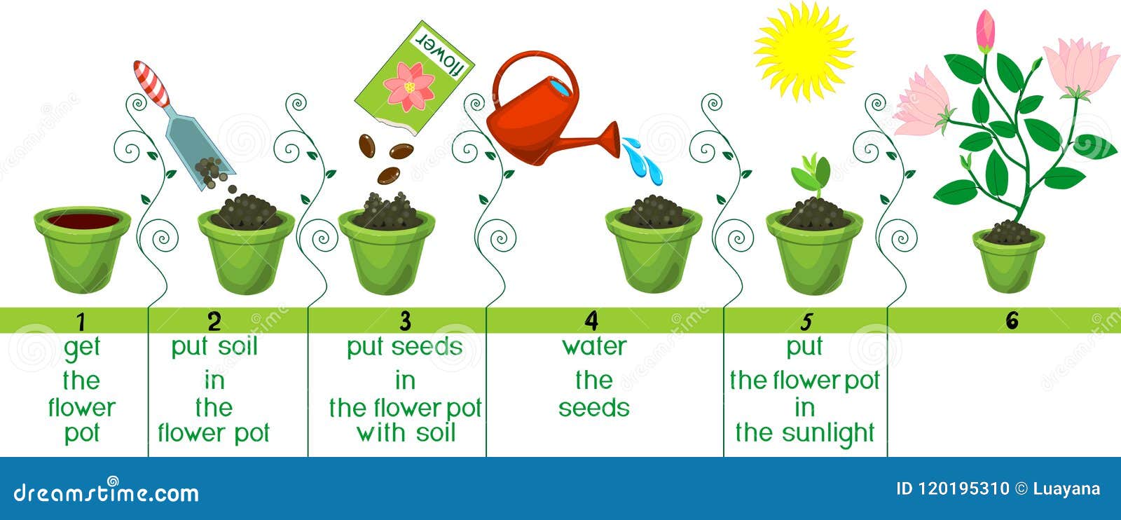 Instructions On How To Plant Flower In Six Easy Steps With Titles. Step