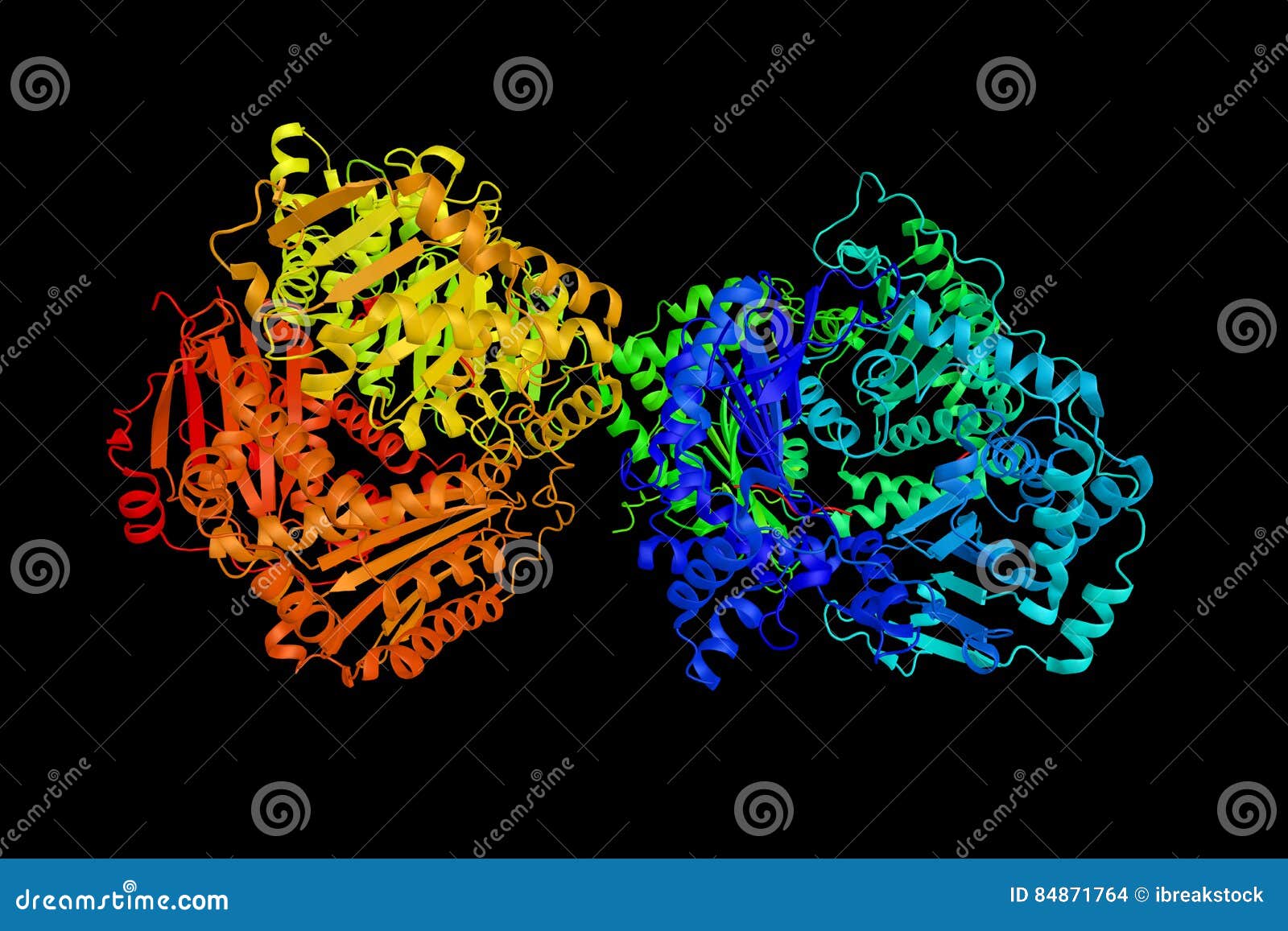 Insulinlike Growth Factor 2, One of Three Protein Hormones that Stock