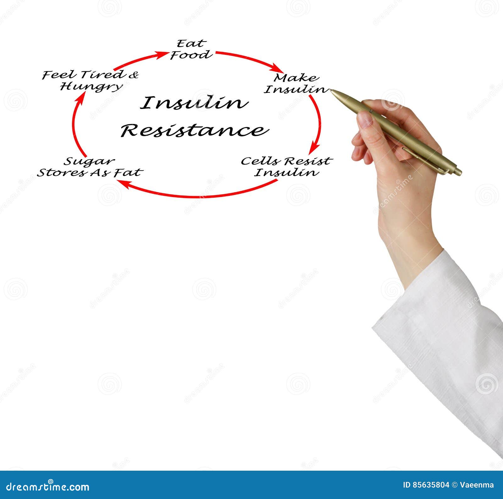 insulin resistance