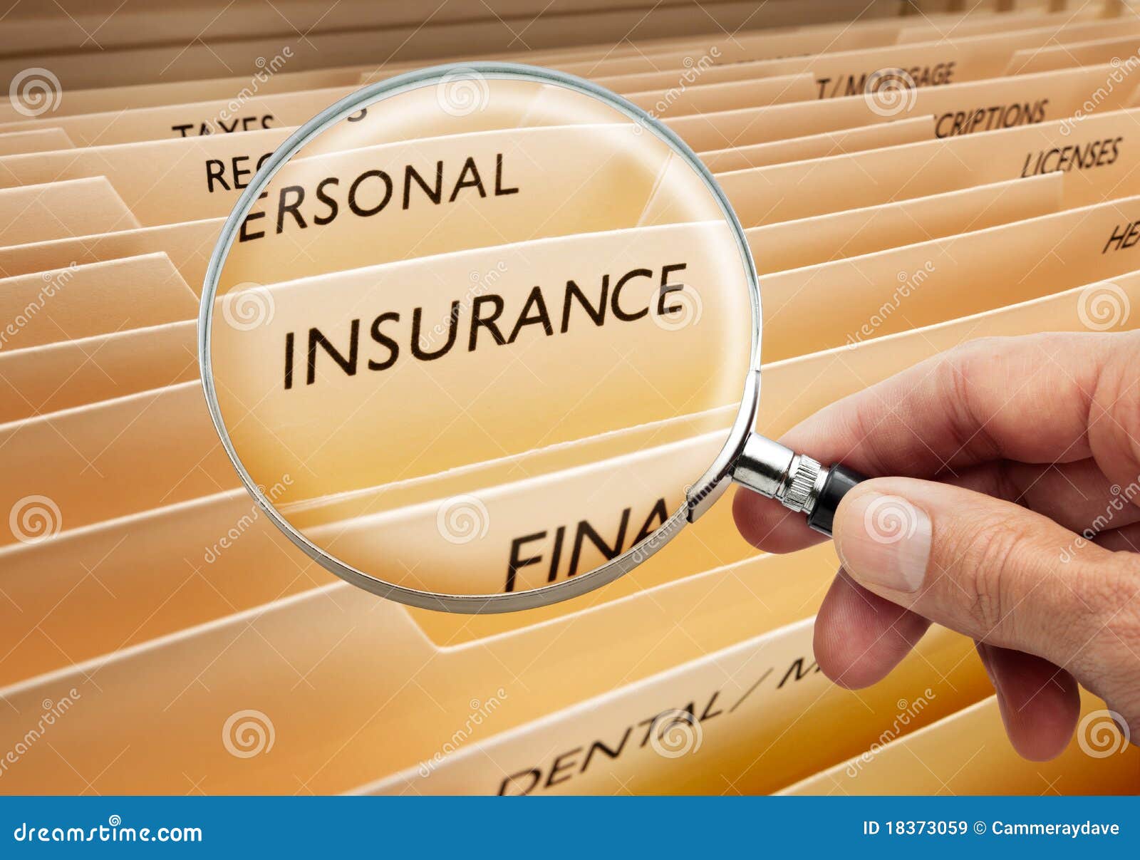 insurance file folders