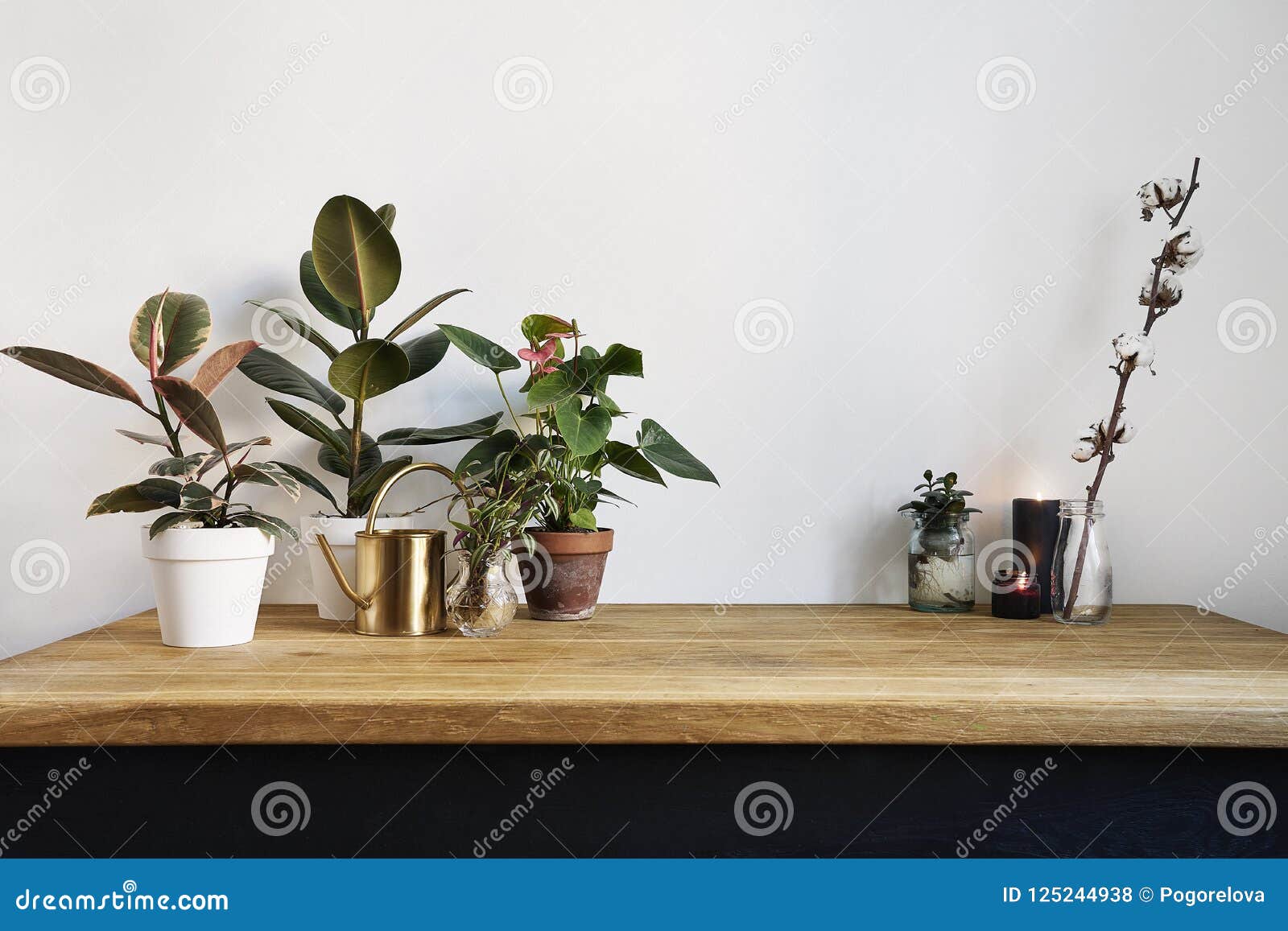 Intérieur Blanc De Cuisine Avec Les Plantes Vertes Sur La