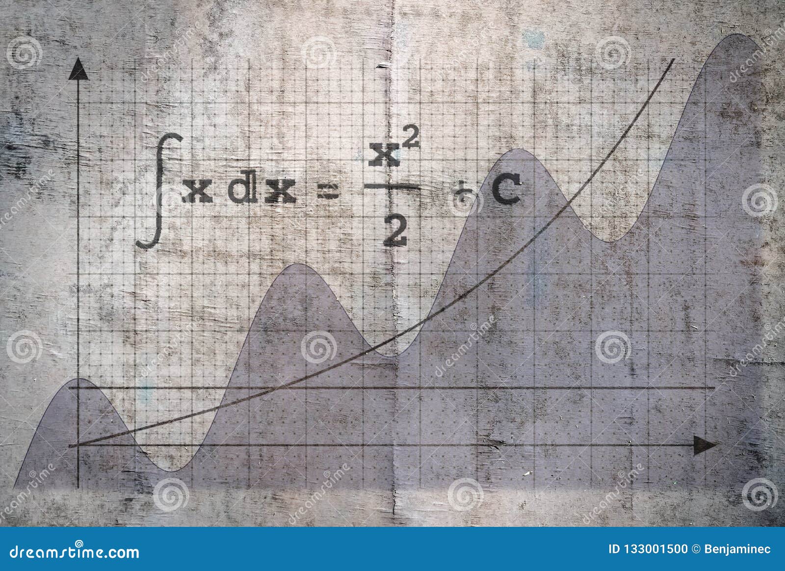 integral of a function