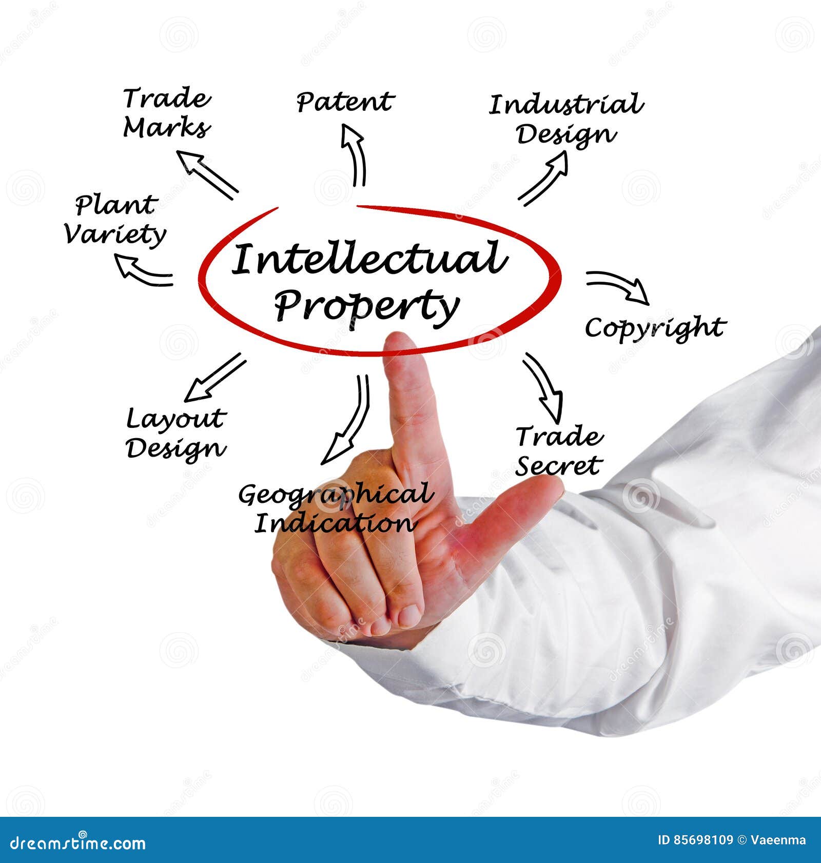 intellectual property