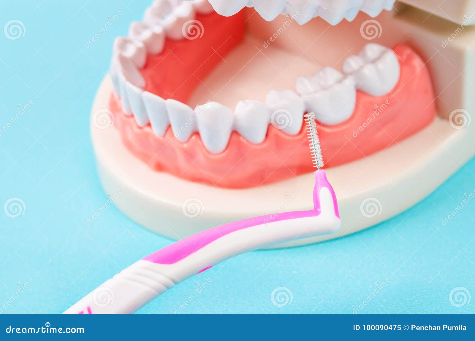Interdental Brushes with Denture. Stock Image Image of dentist, adult