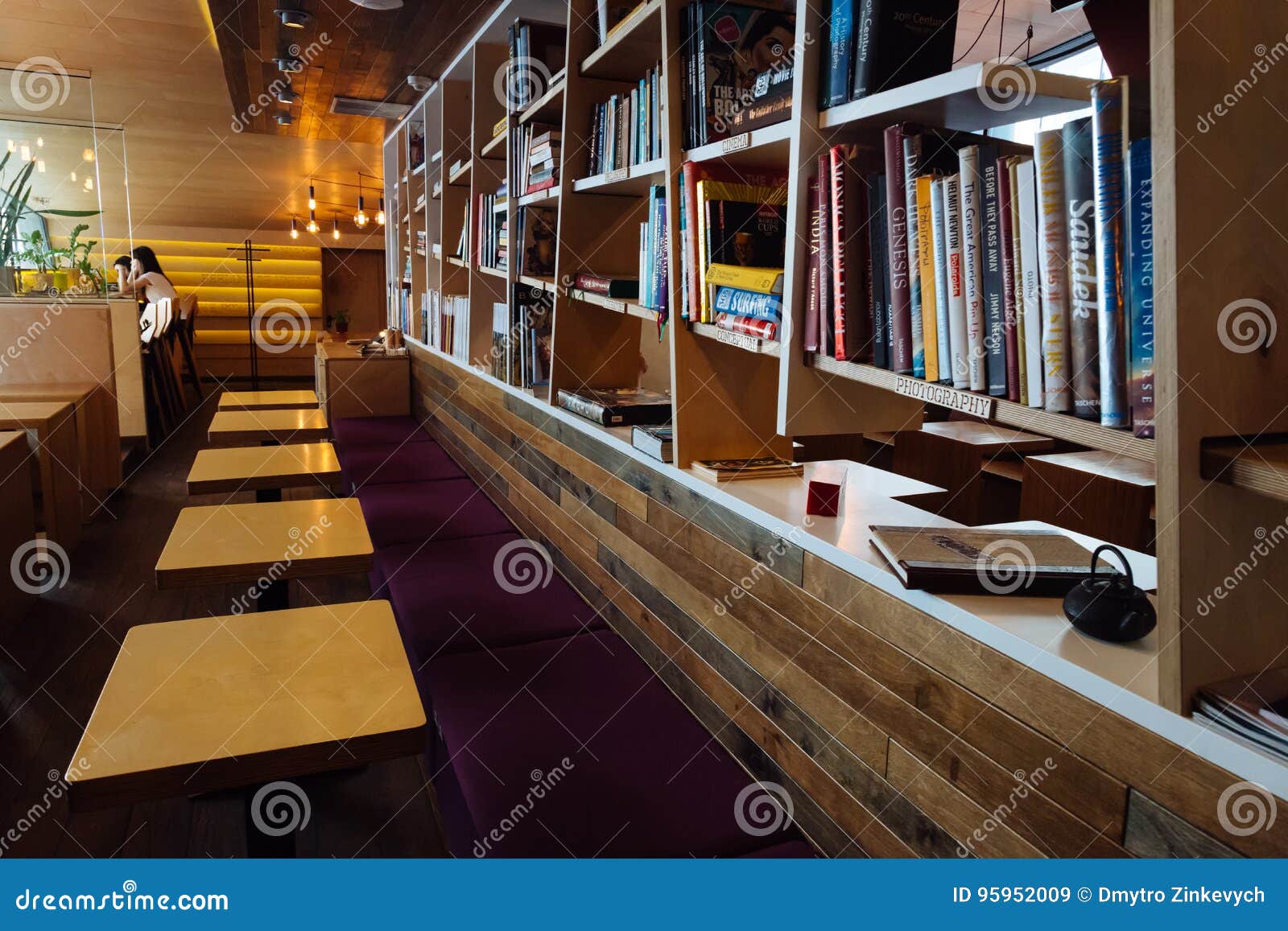 Interesting Books Arranged on a Shelf by the Topics Editorial Stock