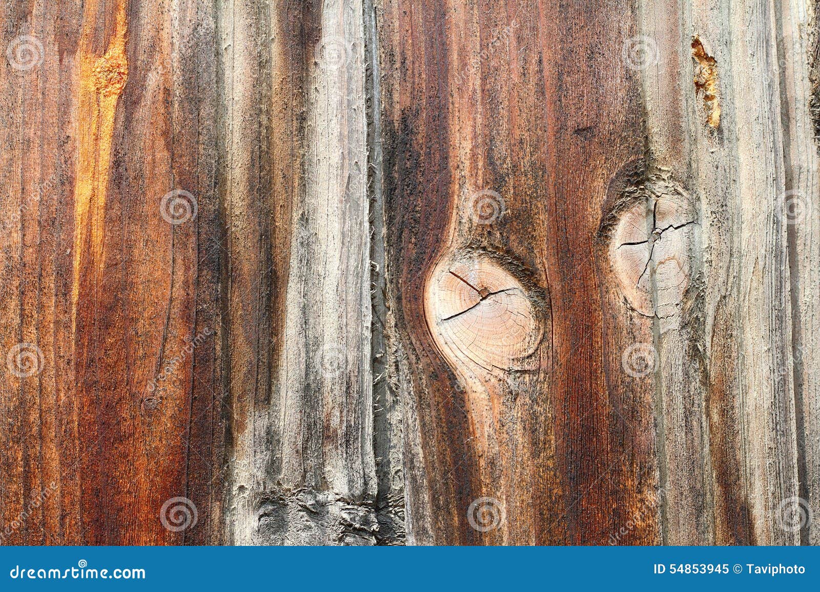 Interesting Knot on Wood Texture Stock Image Image of carpentry