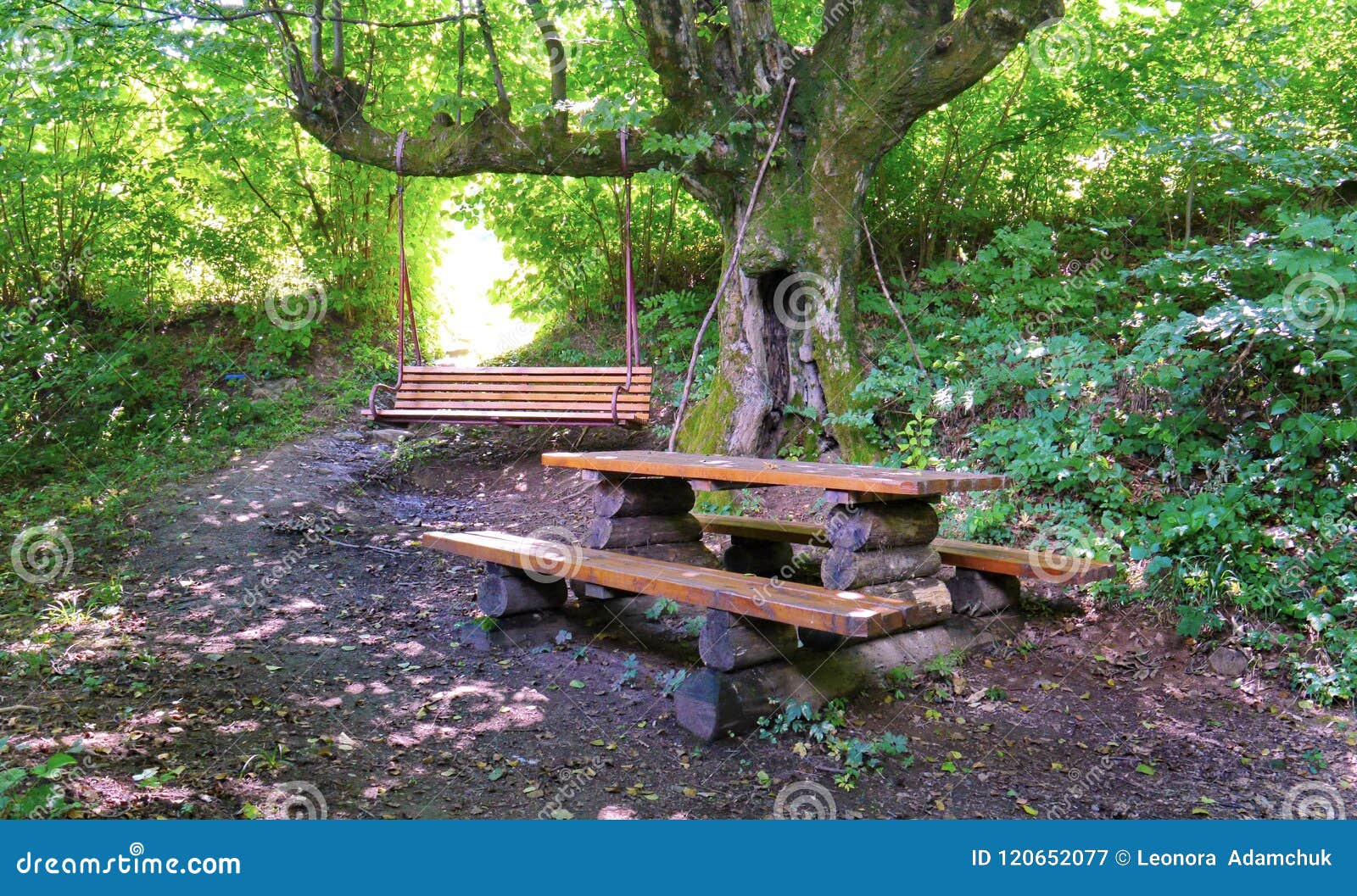 An Interesting Table Under A Tree Made Of Logs And Boards And A