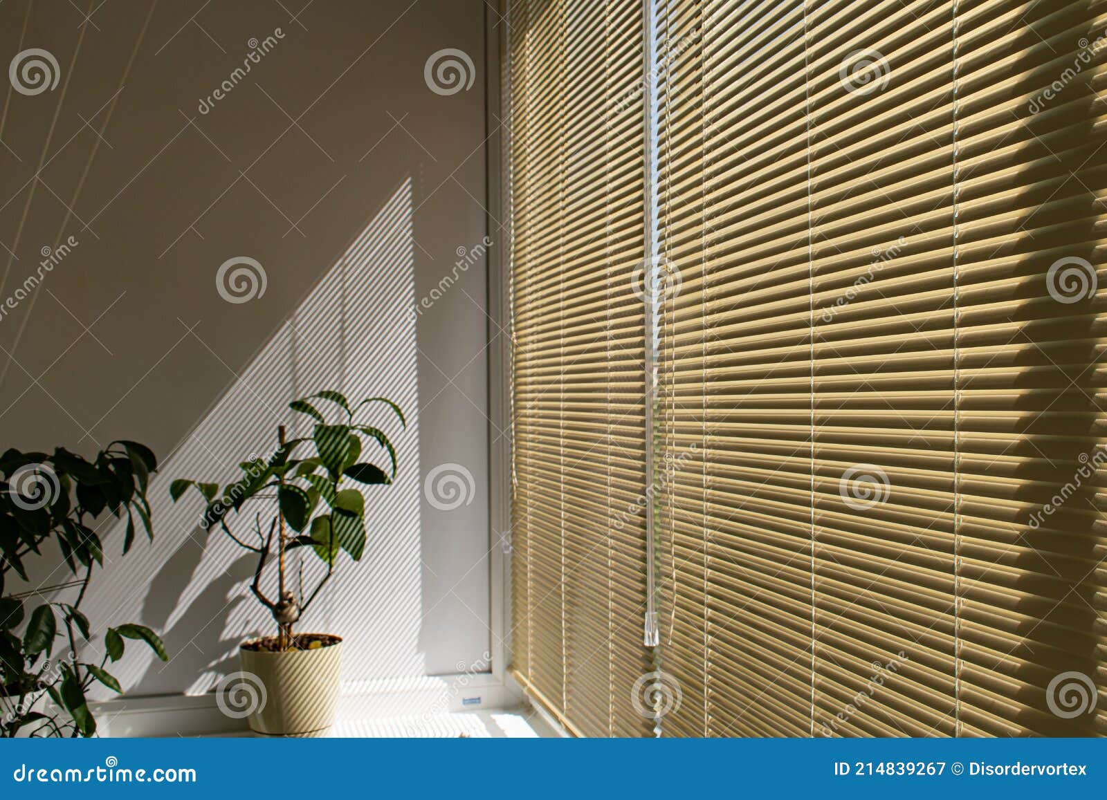 Interior of Balcony with Yellow-vanilla Horizontal Alumium Blinds Stock ...