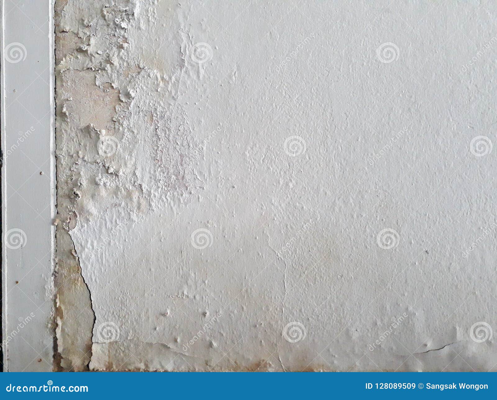 Interior Concrete Walls Skimmed Paint From Moisture Stock