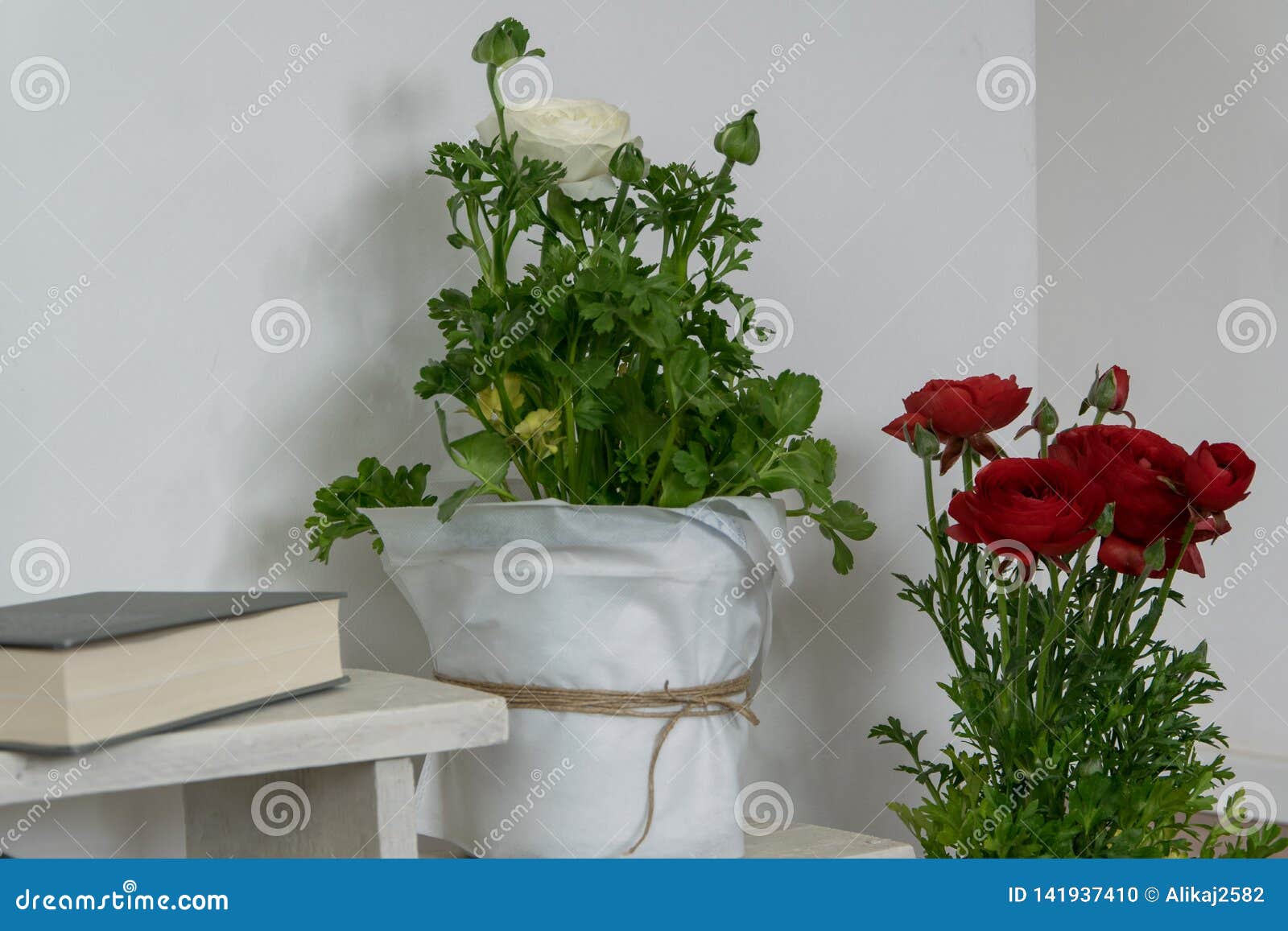 Interior Decoration with Blossom Potted Flowers Stock Photo Image of