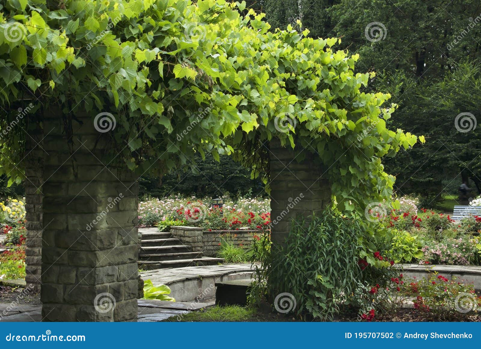 interior-del-castillo-de-zywiec-polonia-foto-de-archivo-imagen-de