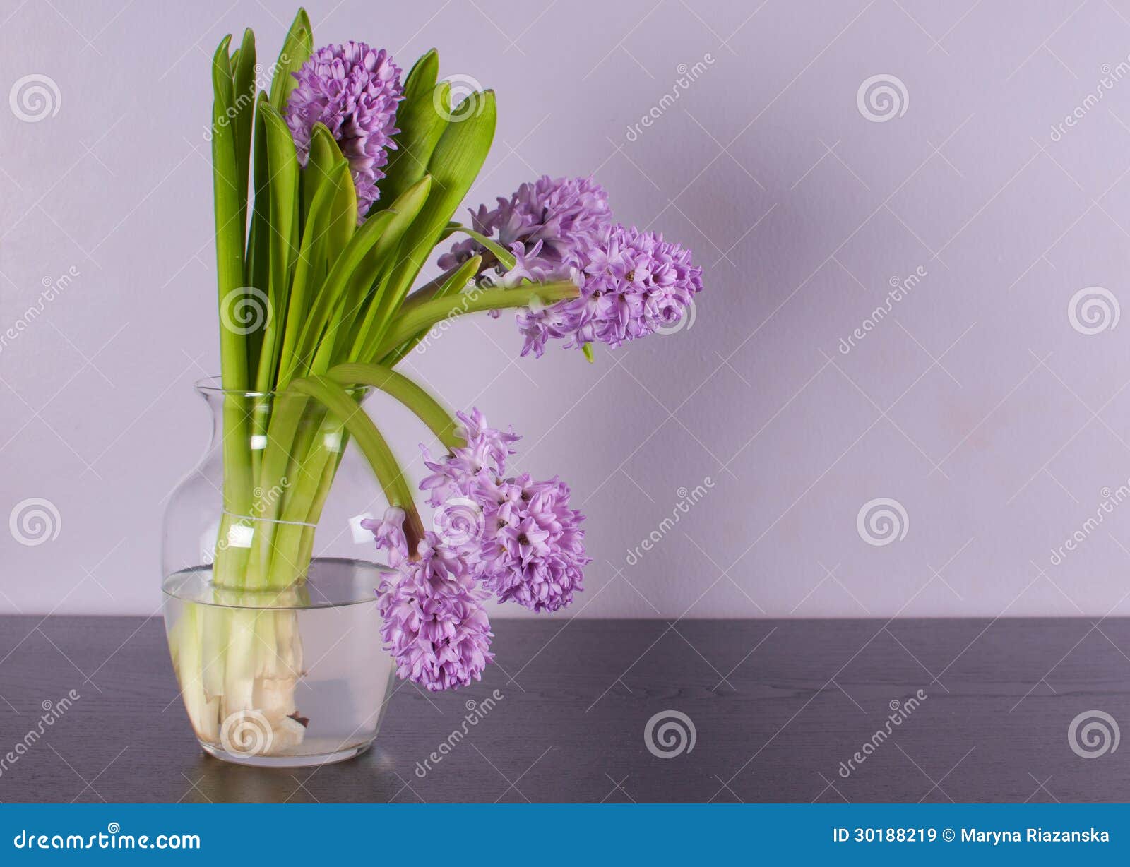 Interior Design with Lilac Wall and Purple Flower Stock Image Image