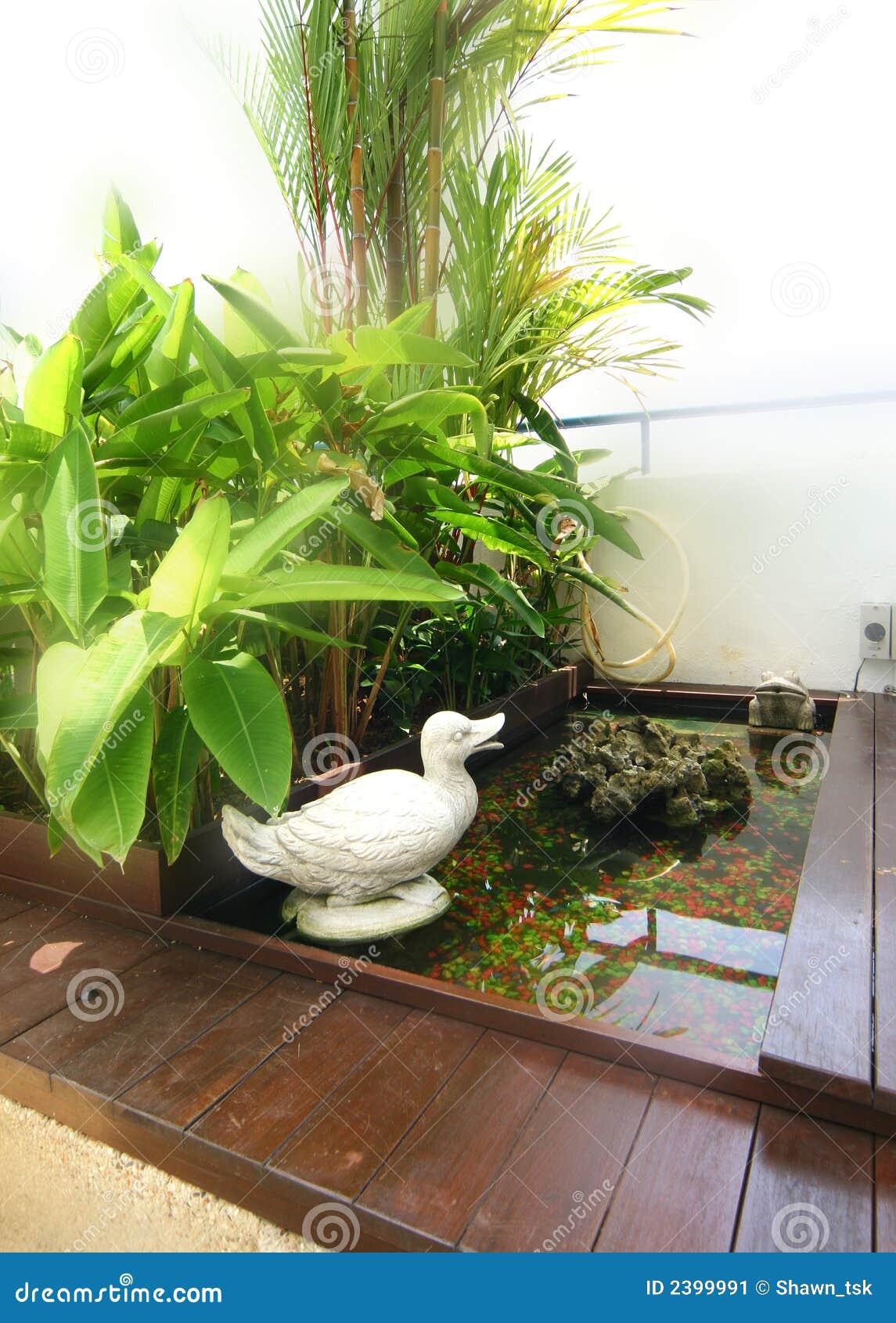 Interior design pond stock image. Image of windows, plants 2399991