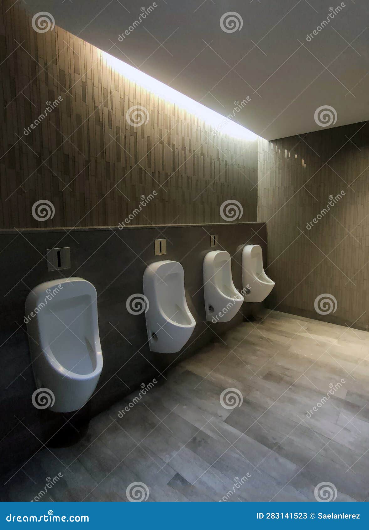 Interior Design of Standing Toilet for Men in a Hotel Stock Image