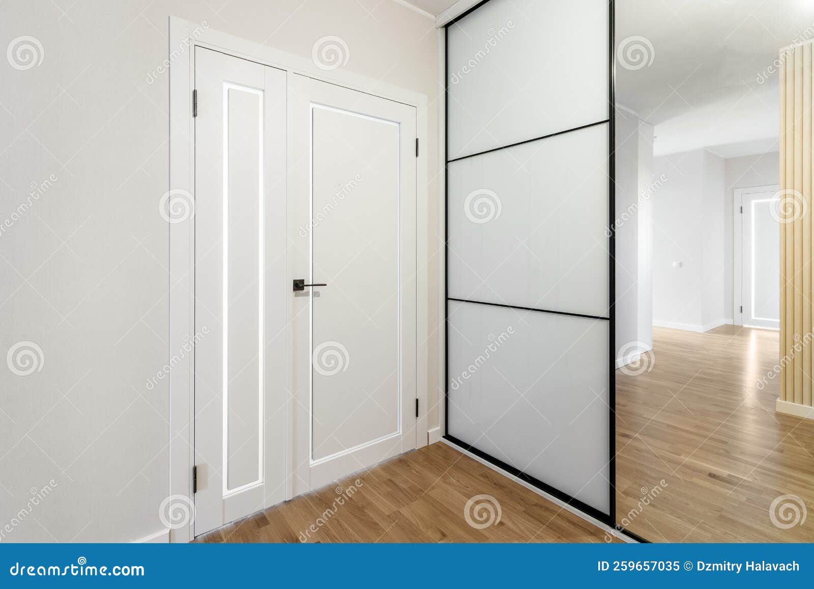 Interior and Entrance Doors in the New Apartment. Stock Image Image