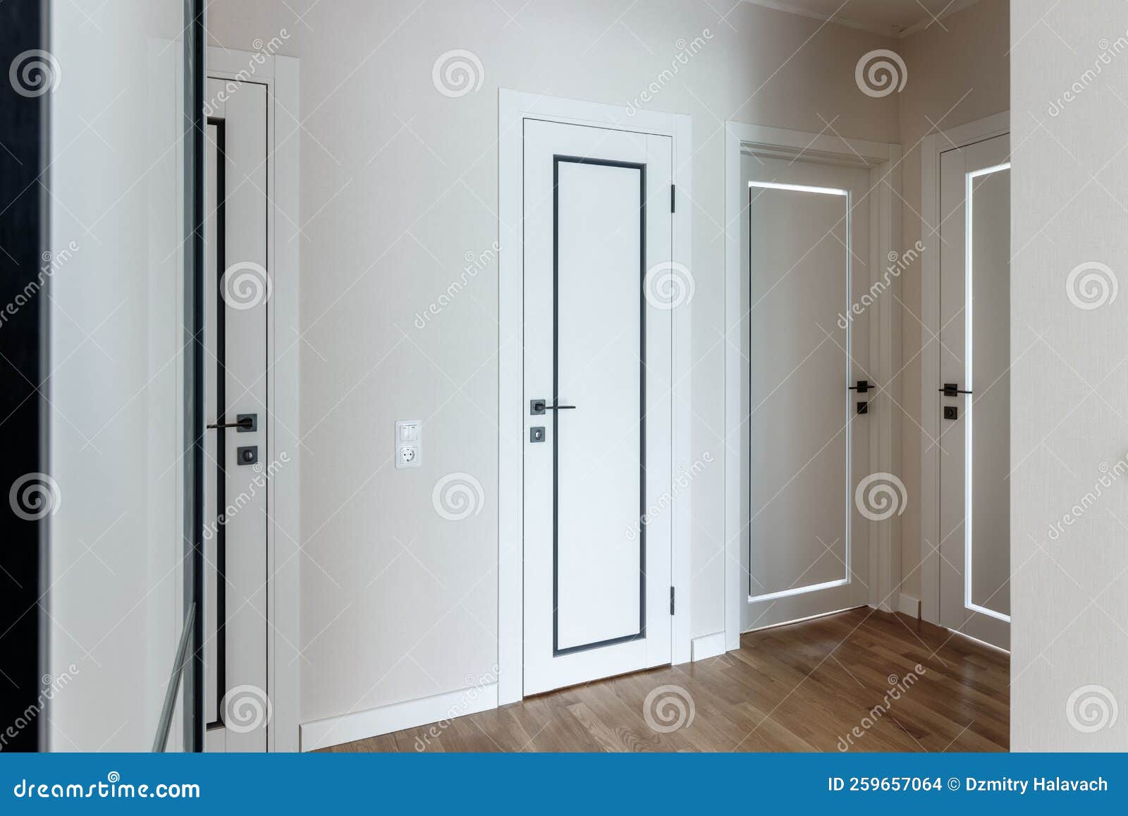 Interior and Entrance Doors in the New Apartment. Stock Photo Image