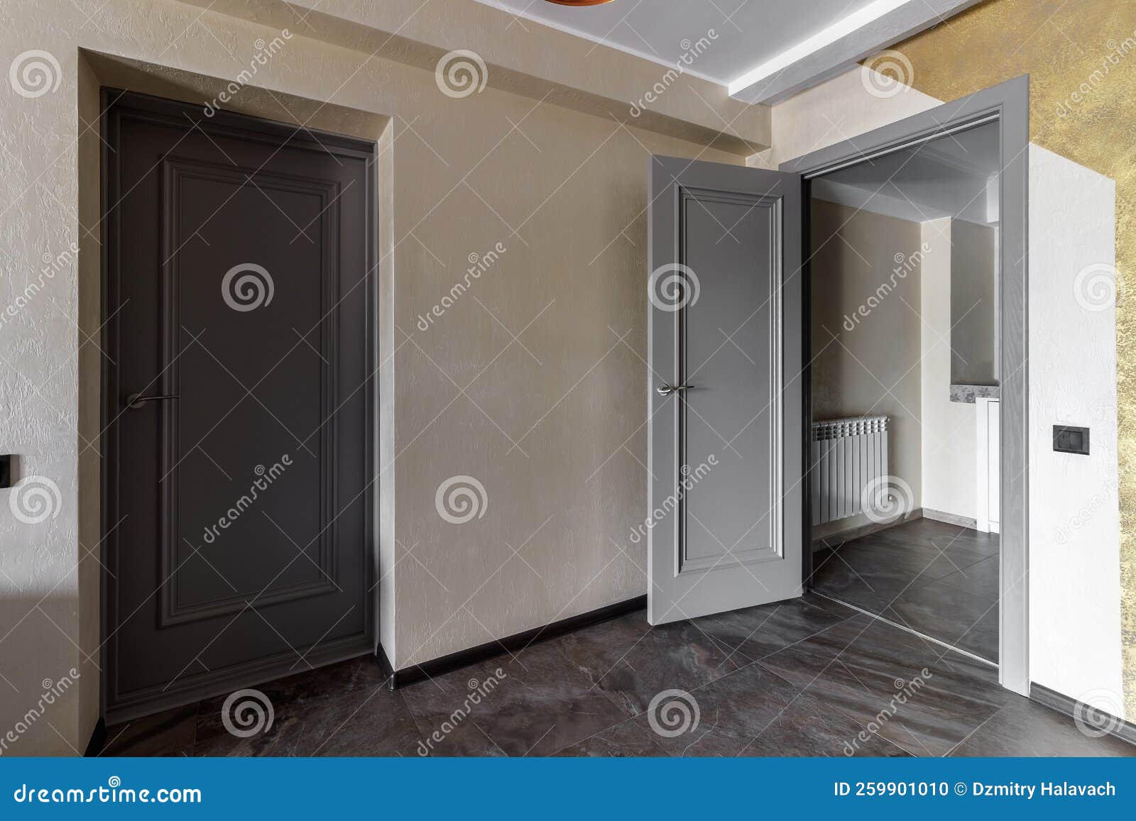 Interior and Entrance Doors in the New Apartment Stock Photo Image of