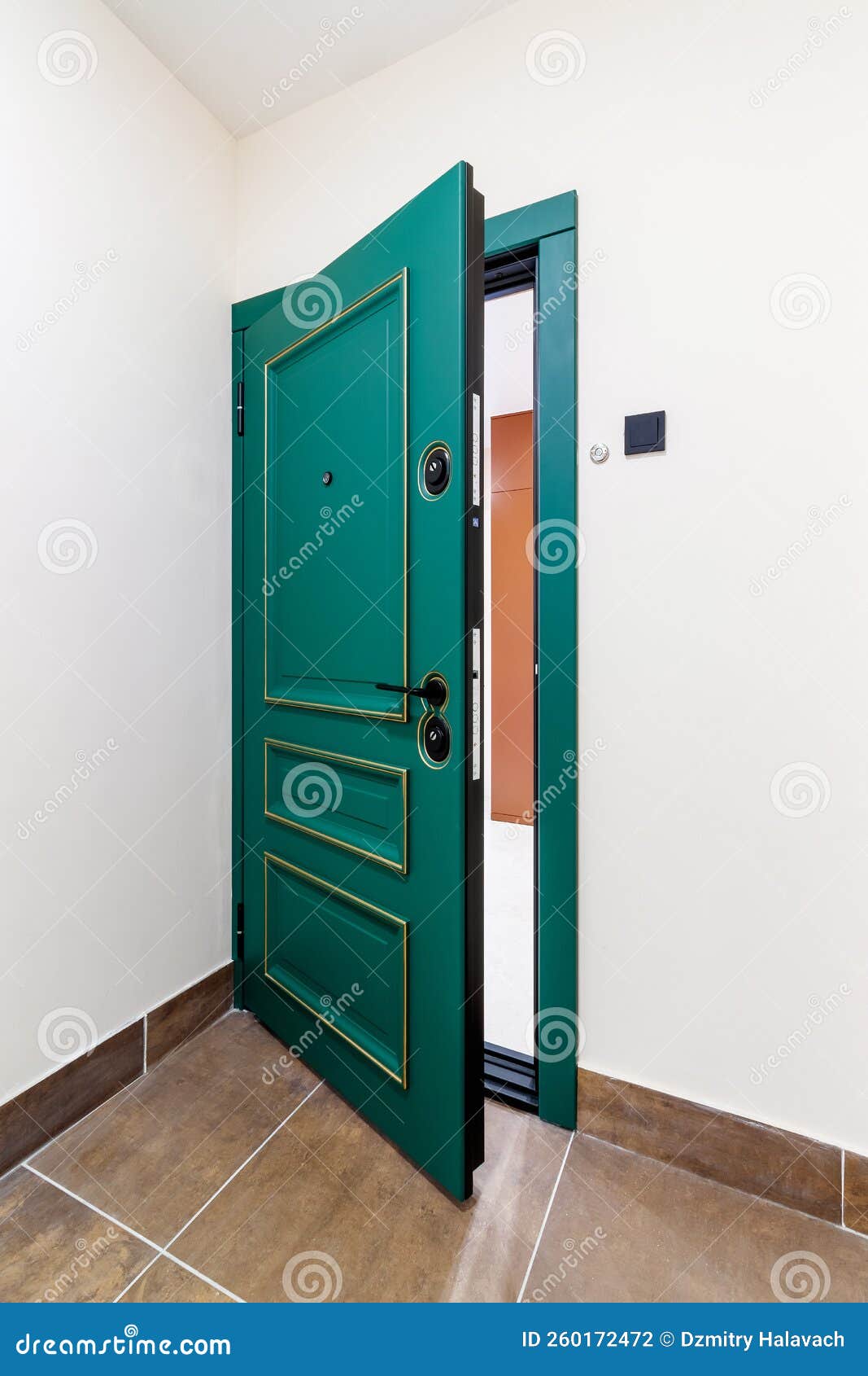 Interior and Entrance Doors in the New Apartment Stock Photo Image of