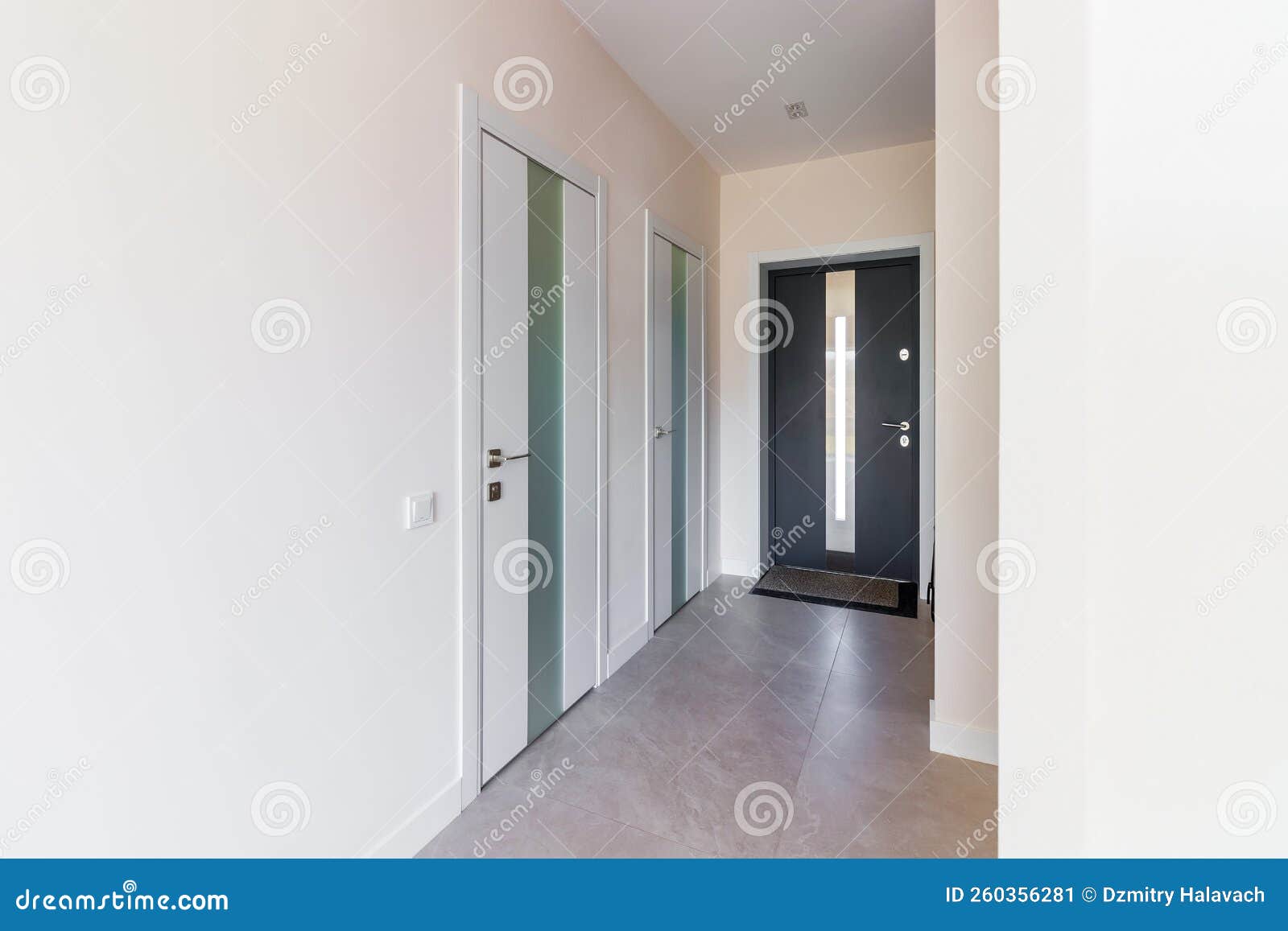 Interior and Entrance Doors in the New Apartment Stock Image Image of