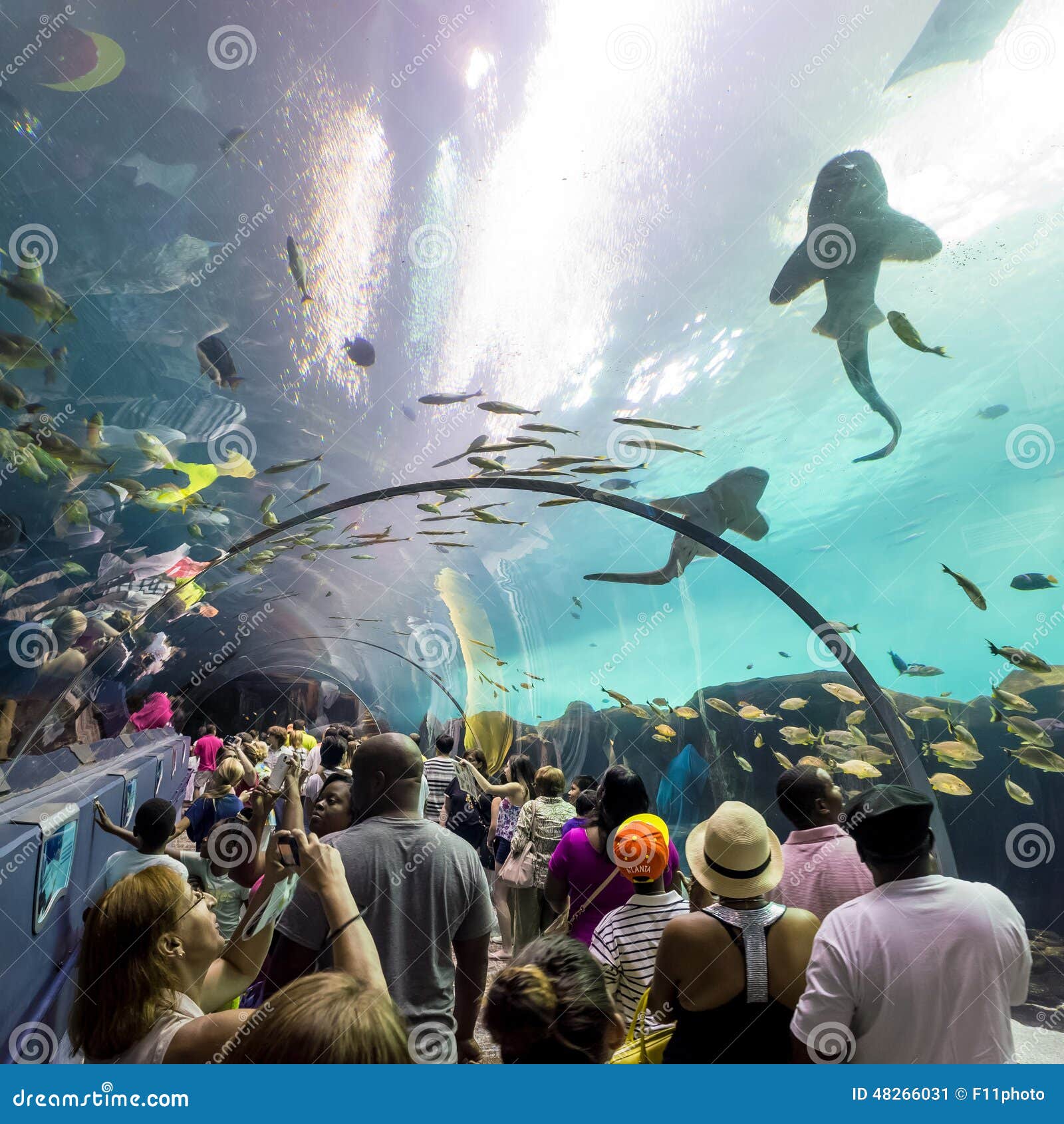 Interior of Georgia Aquarium with the People Editorial Photo - Image of ...