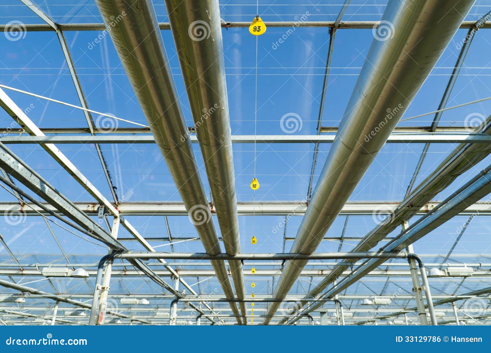 Interior of a greenhouse stock photo. Image of farm, green 33129786