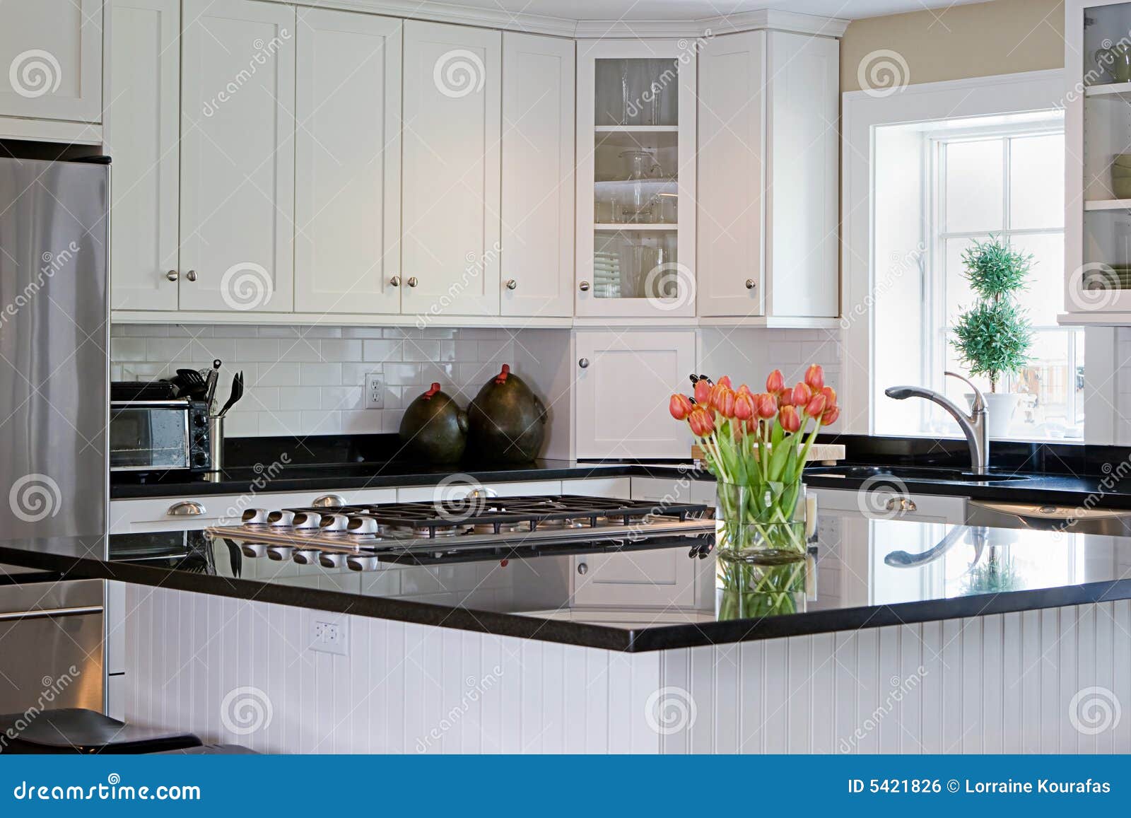 Interior kitchen stock photo. Image of granite, decoration - 5421826