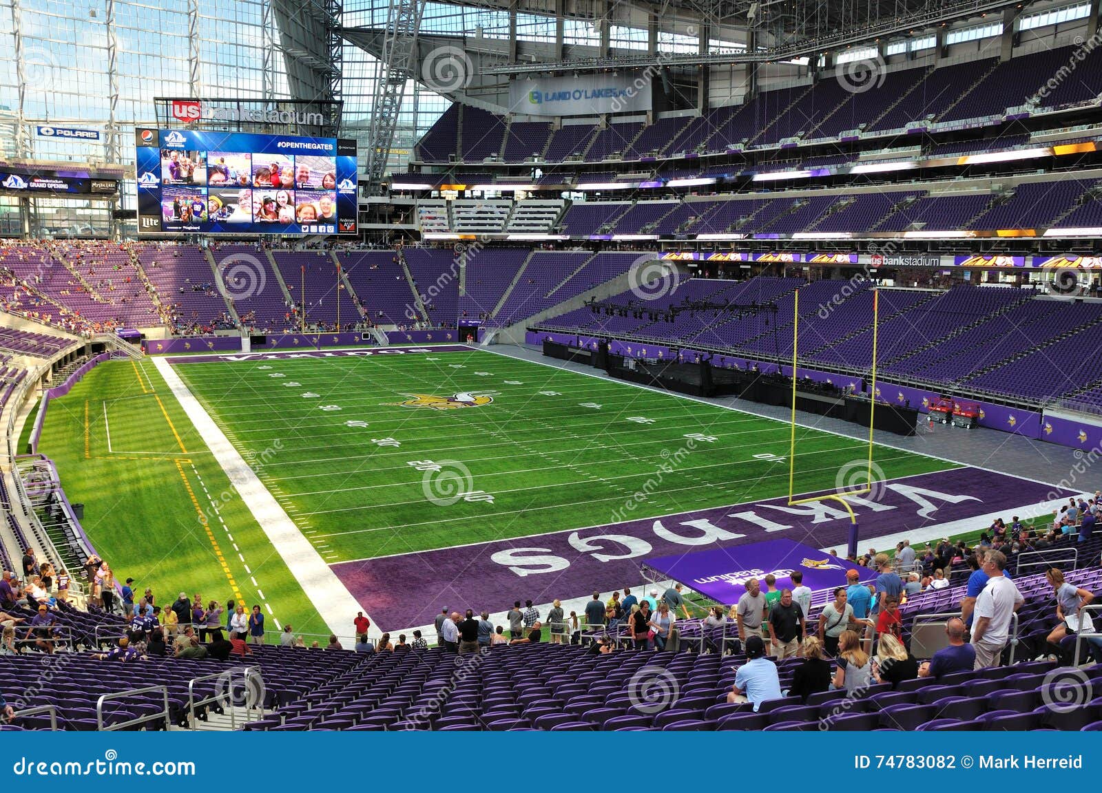 minnesota football stadium vikings