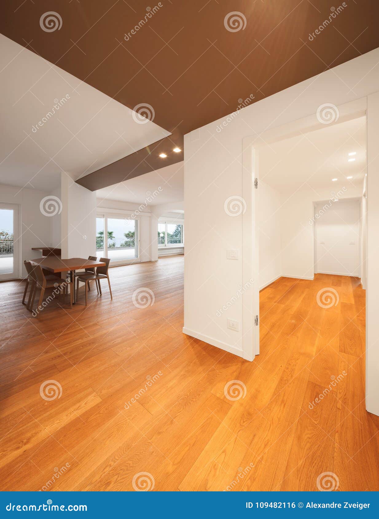 interior of modern apartment, kitchen and entrace