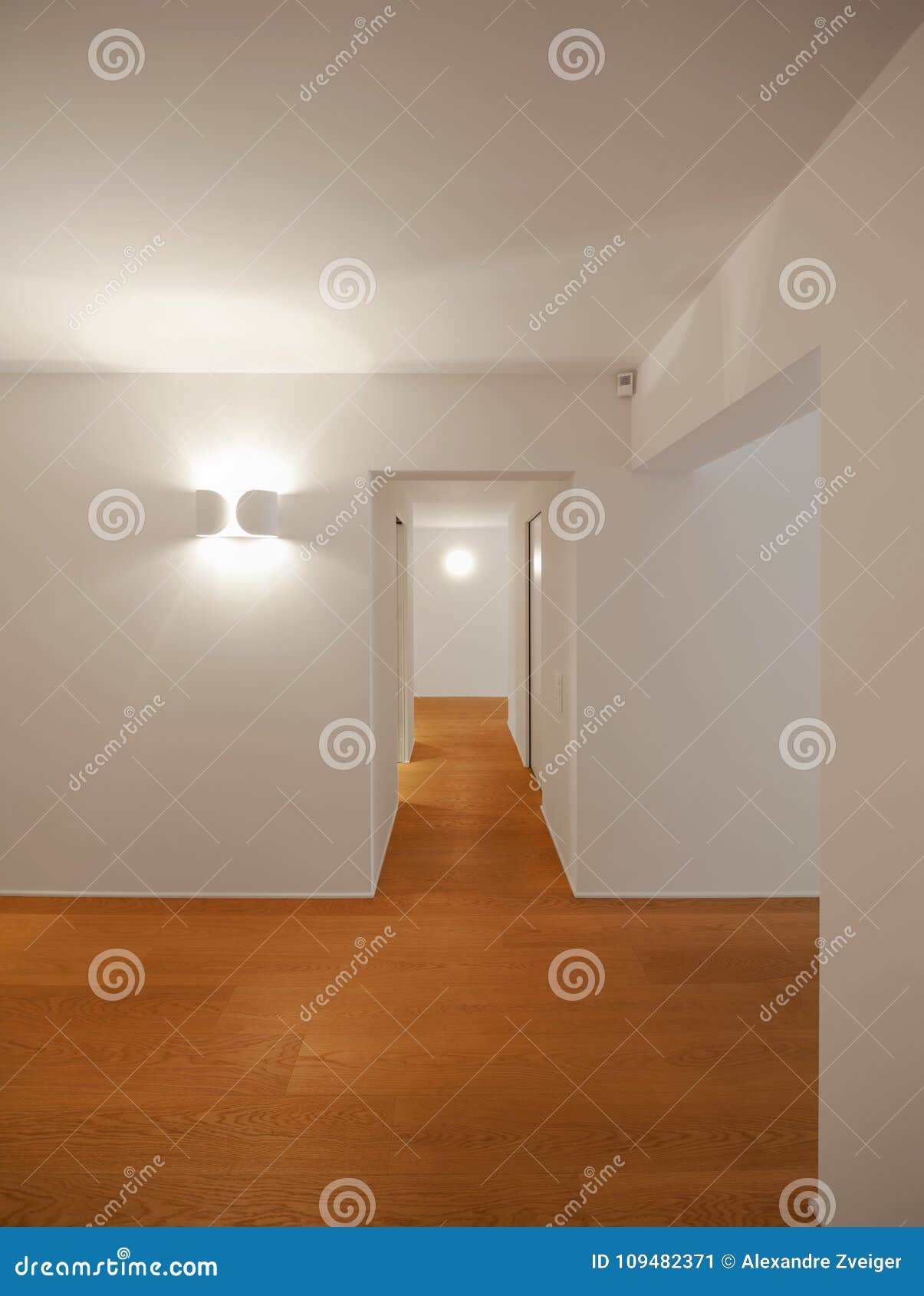 interior of modern apartment, entrace and corridor