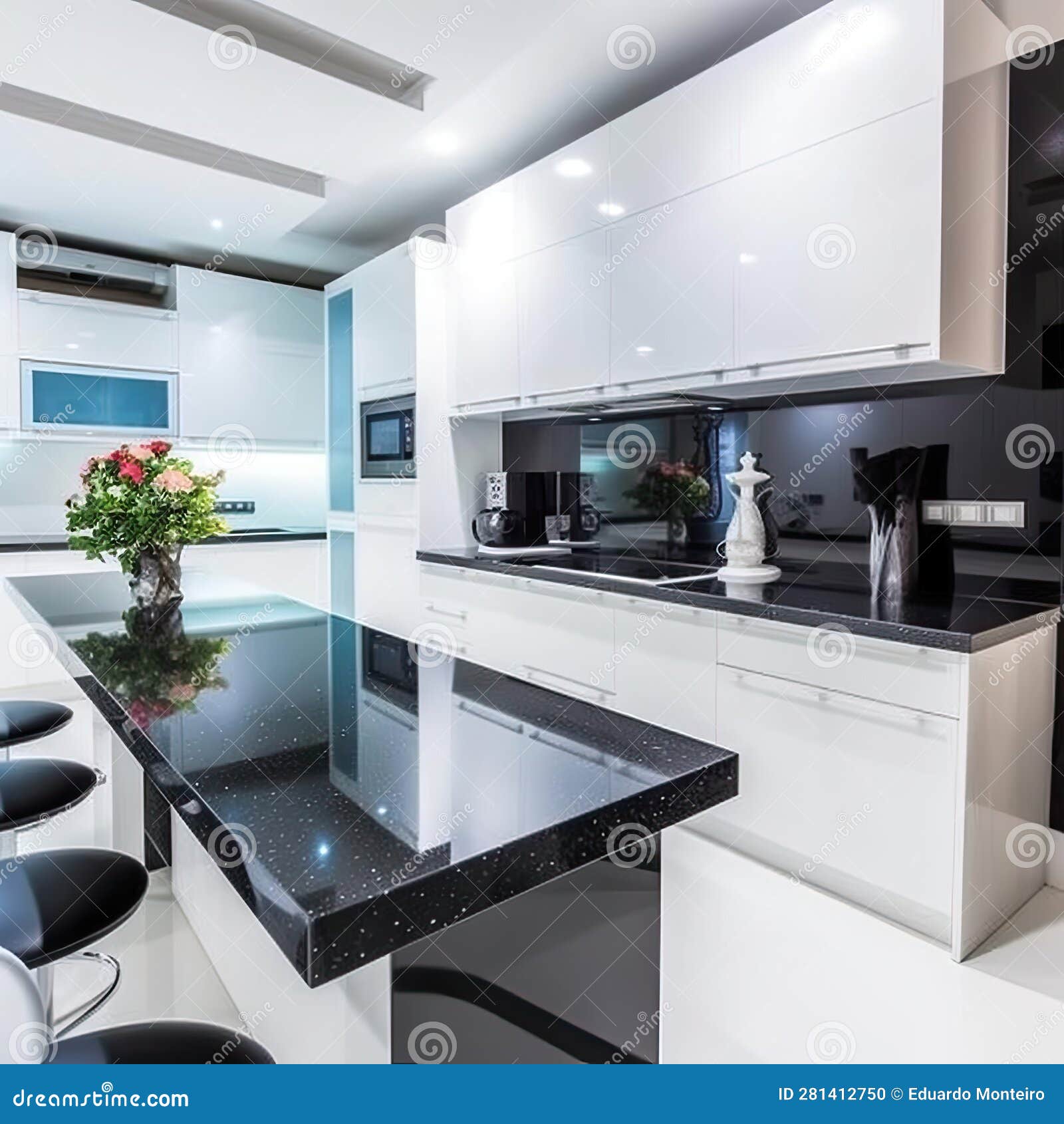 Interior of Modern Kitchen with Black Granite Countertop and Black