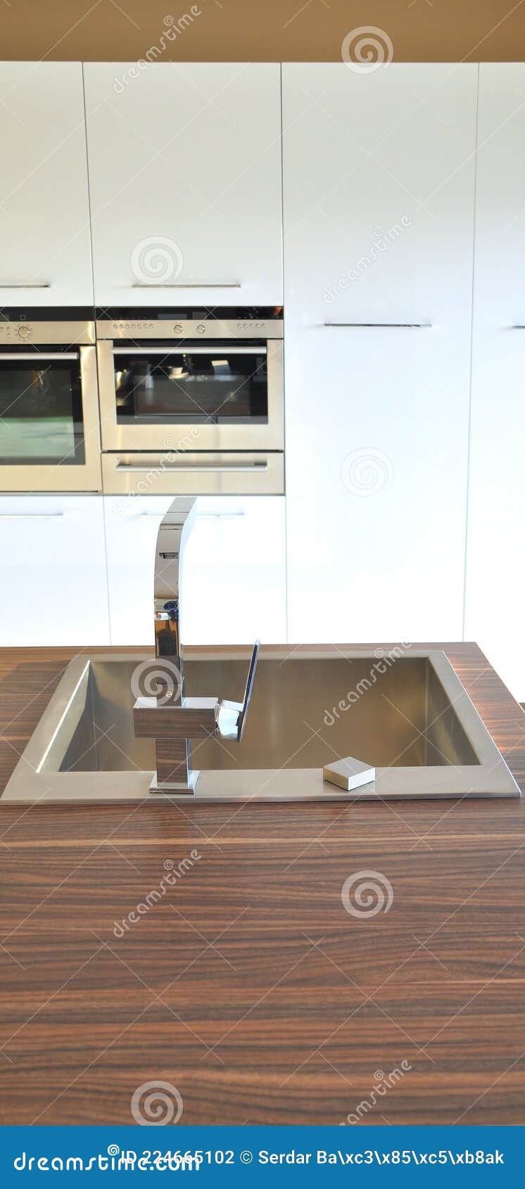 Interior of Modern Kitchen Equipment, Walnut Stock Photo