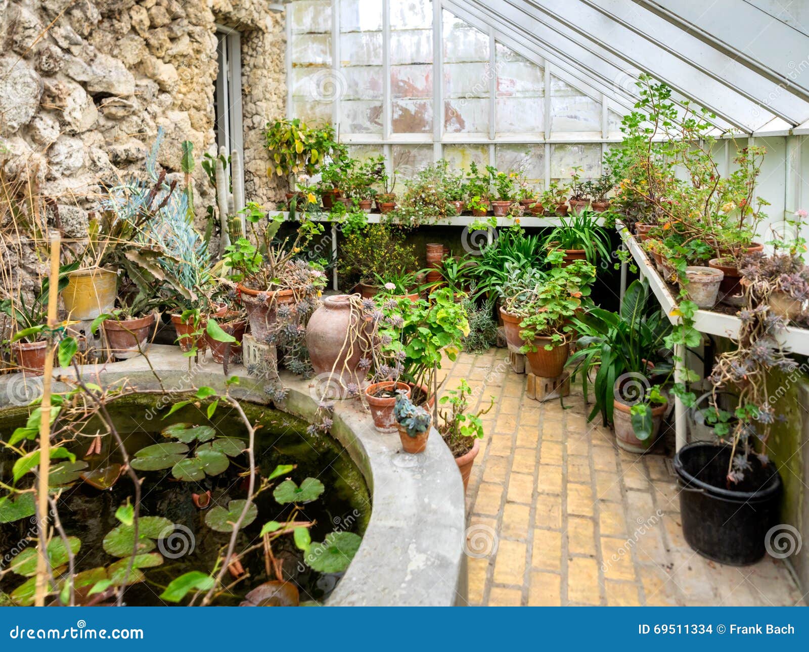 Interior of Old Vintage Greenhouse Stock Photo Image of stylish