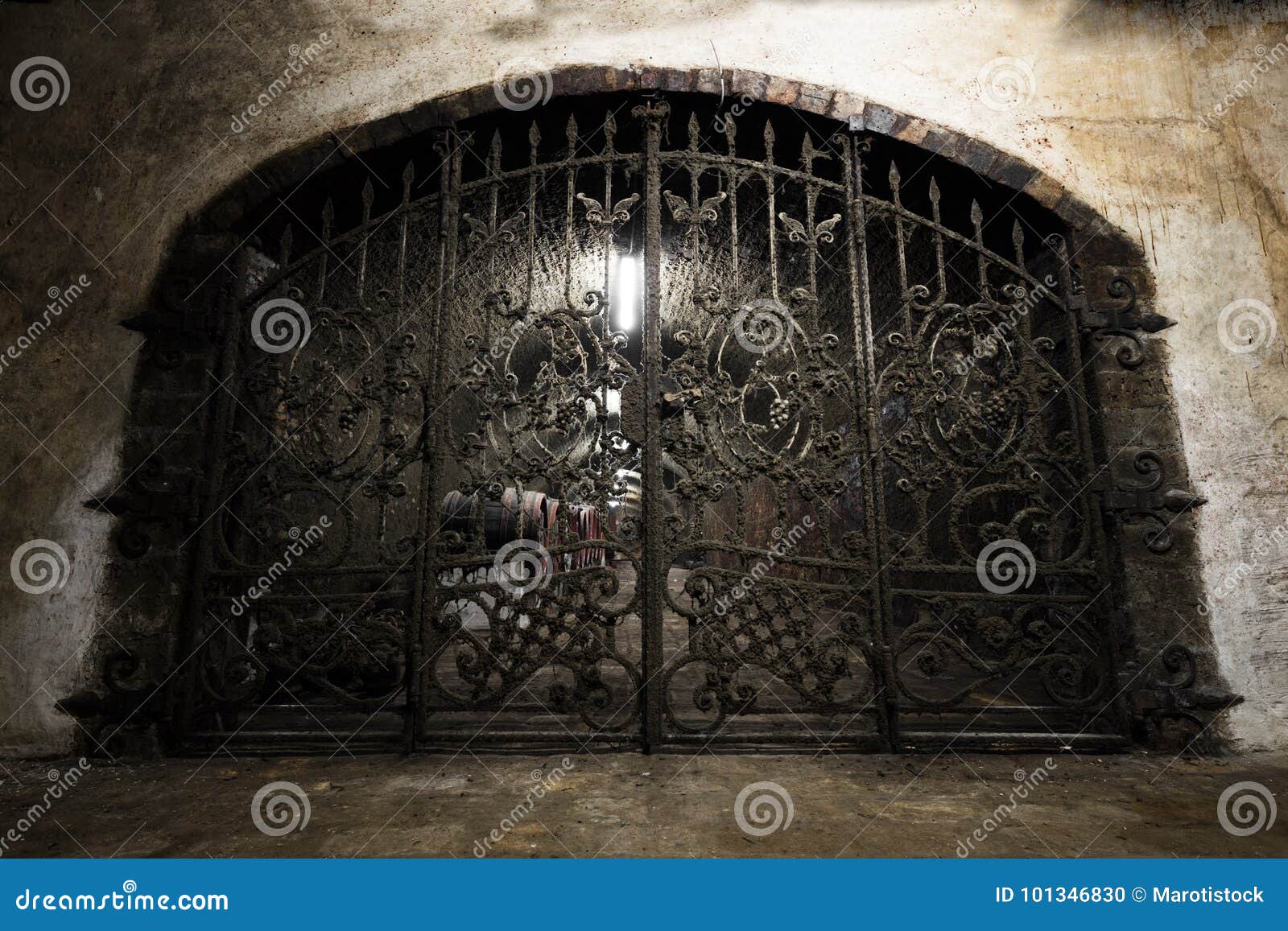 Interior of an Old Wine Cellar, a Iron Gate Editorial Image