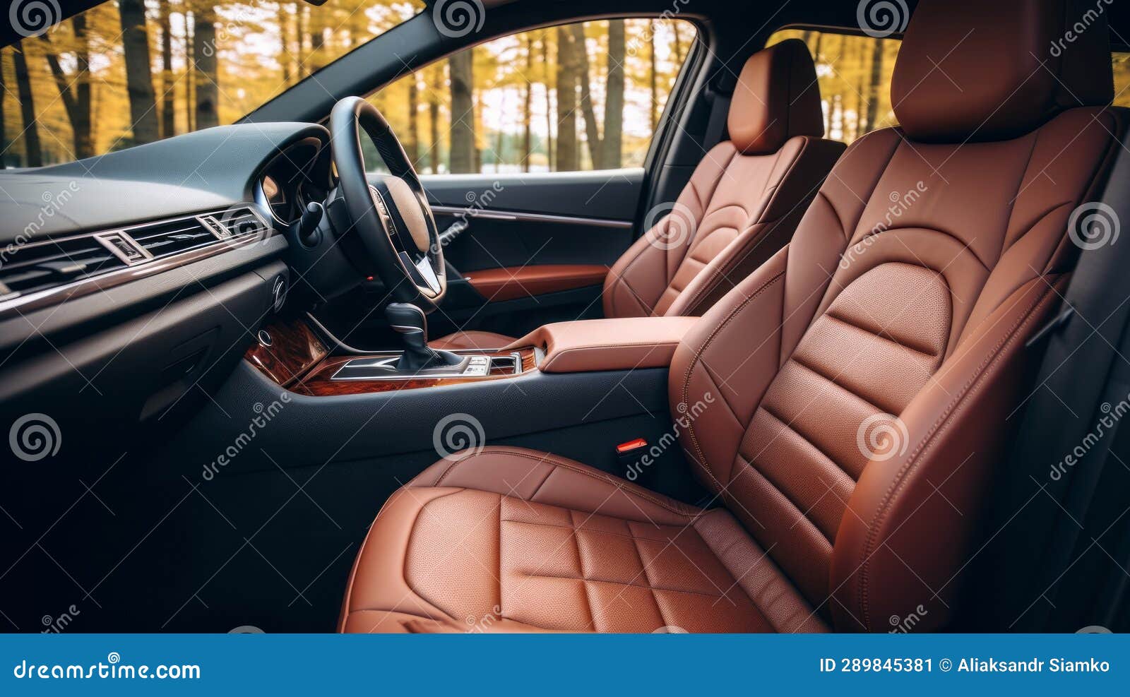Interior of Prestige Modern Car with Leather Seats Stock Image Image