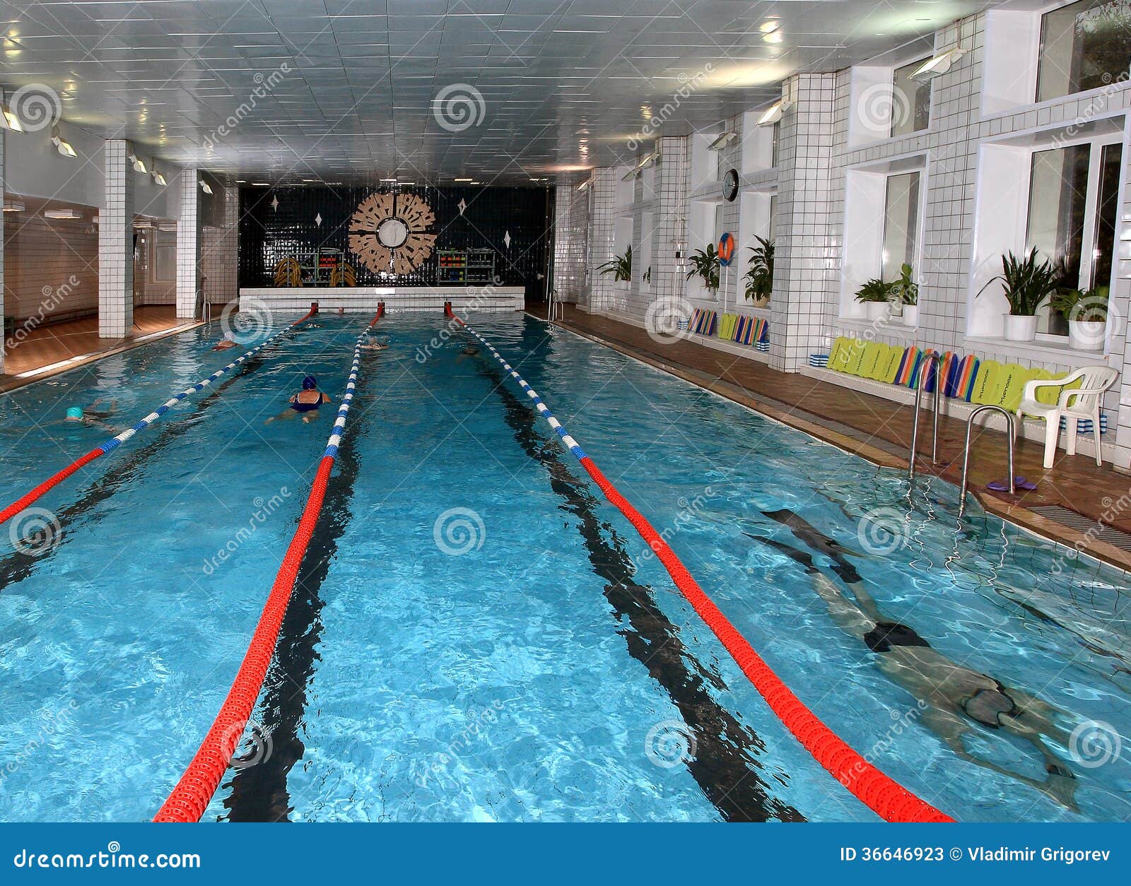 Indoor Public Swimming Pool interior public indoor swimming pool, health improving swimming Indoor Public Swimming Pool interior public indoor swimming pool, health improving swimming