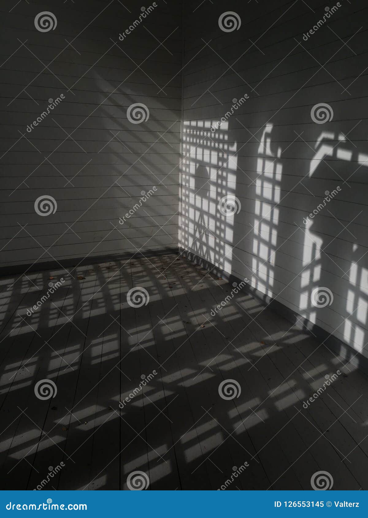 Interior of the Room with Daylight Coming through Windows. Texture of