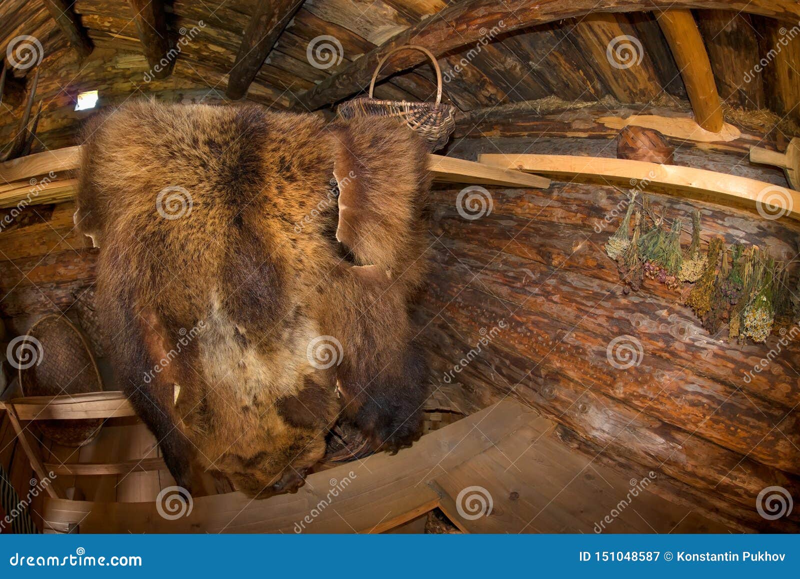 Bear Skin Instead Of A Blanket Stock Image Image Of Basket